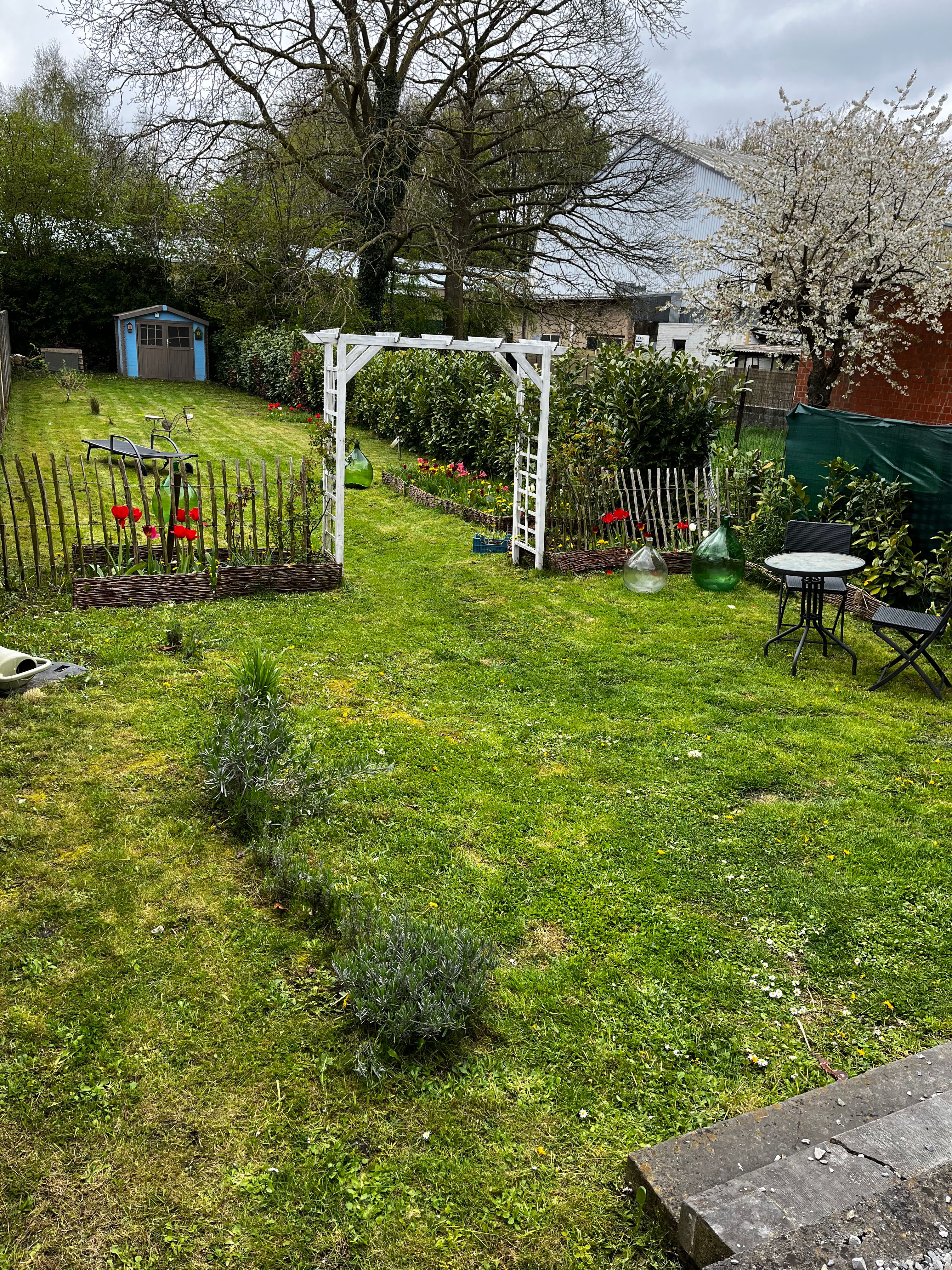 image-7