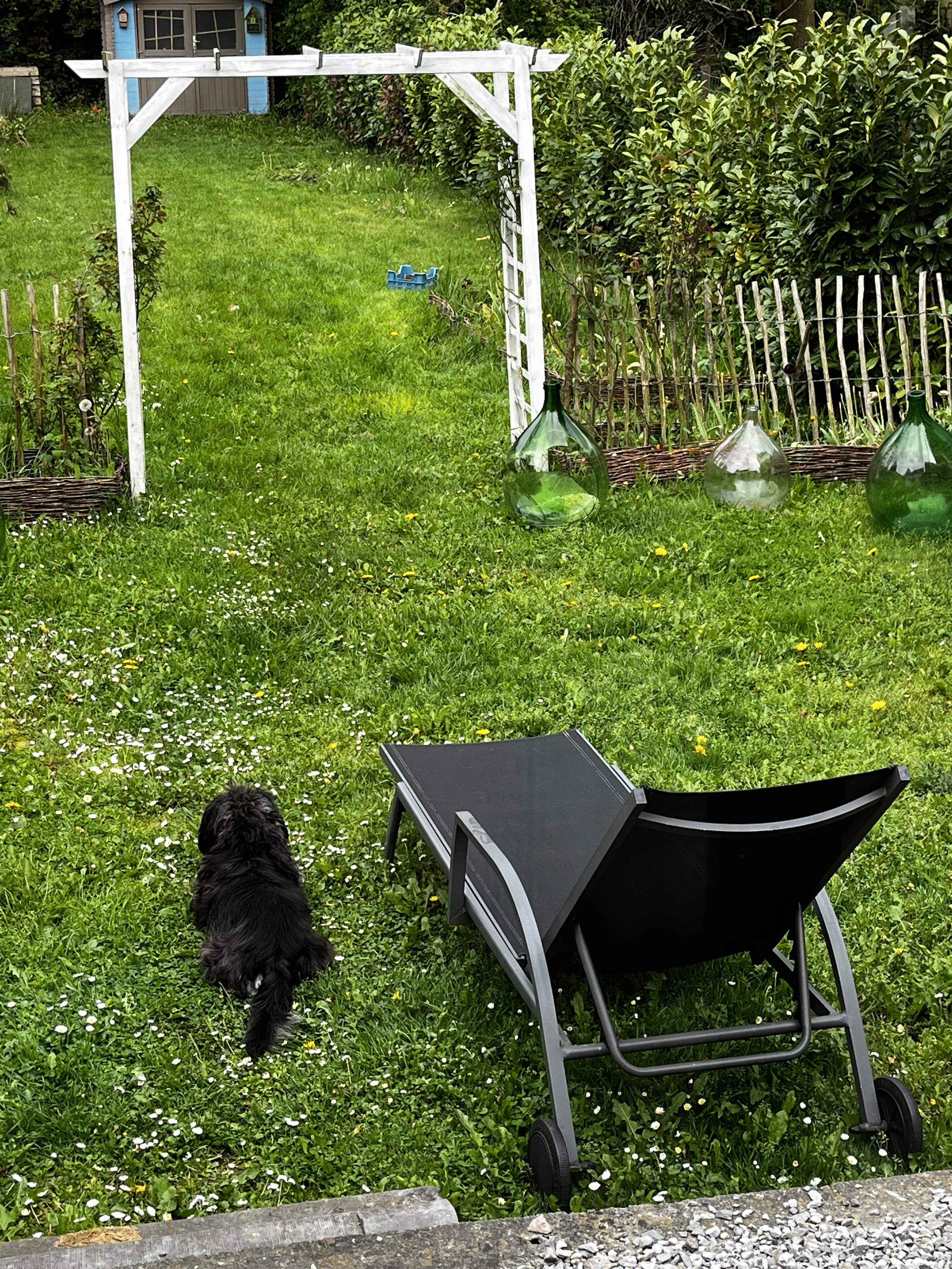image-8