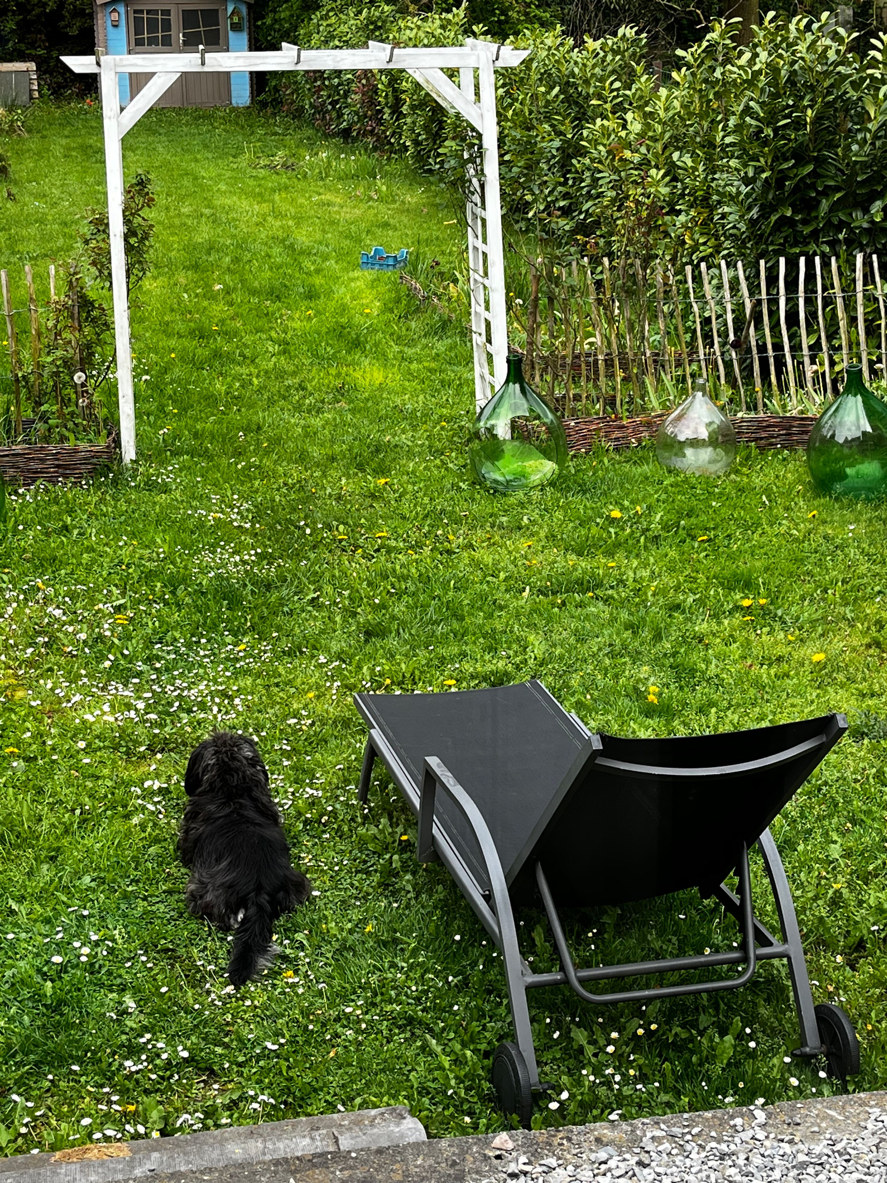 image-8