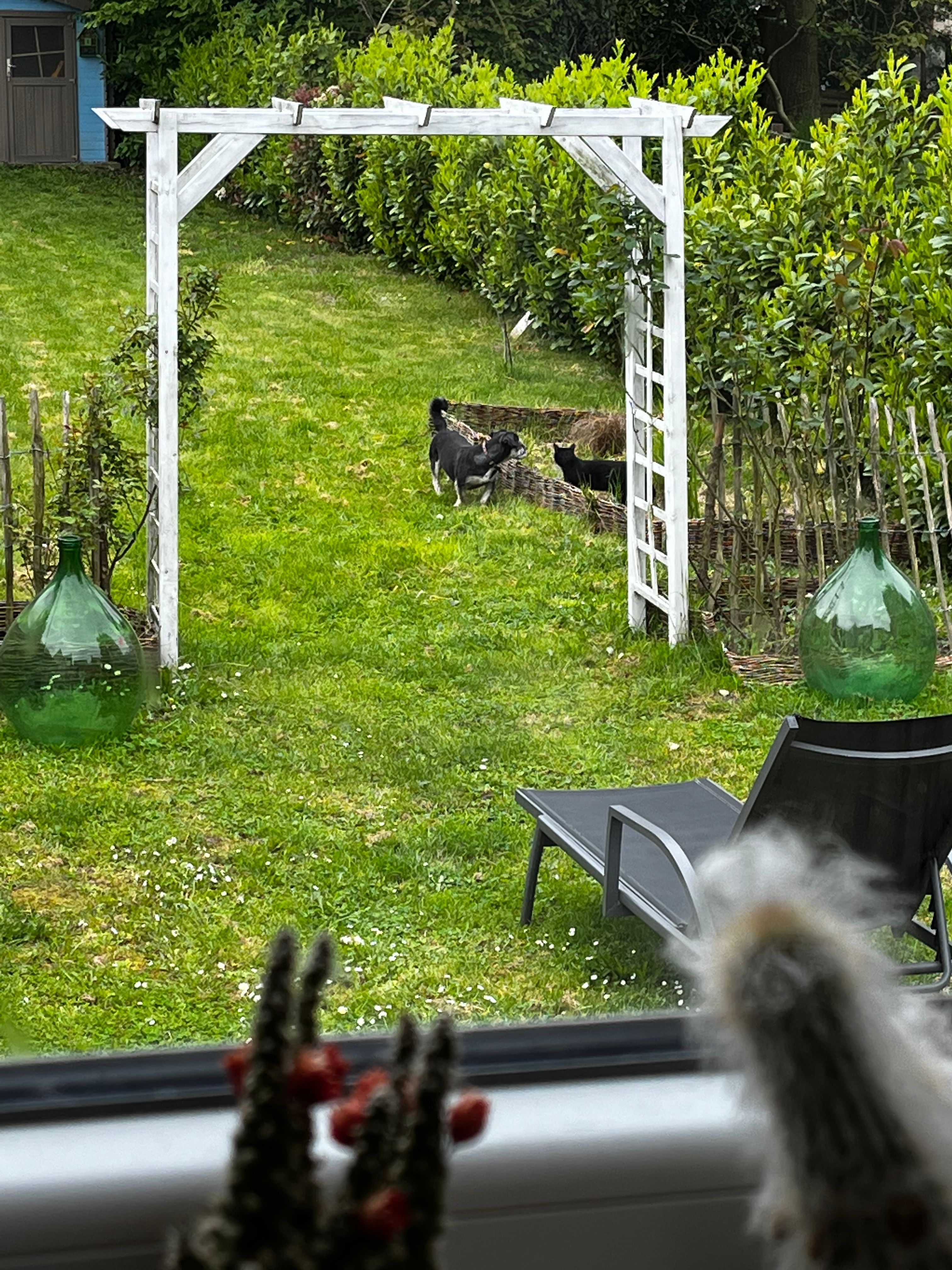 image-9