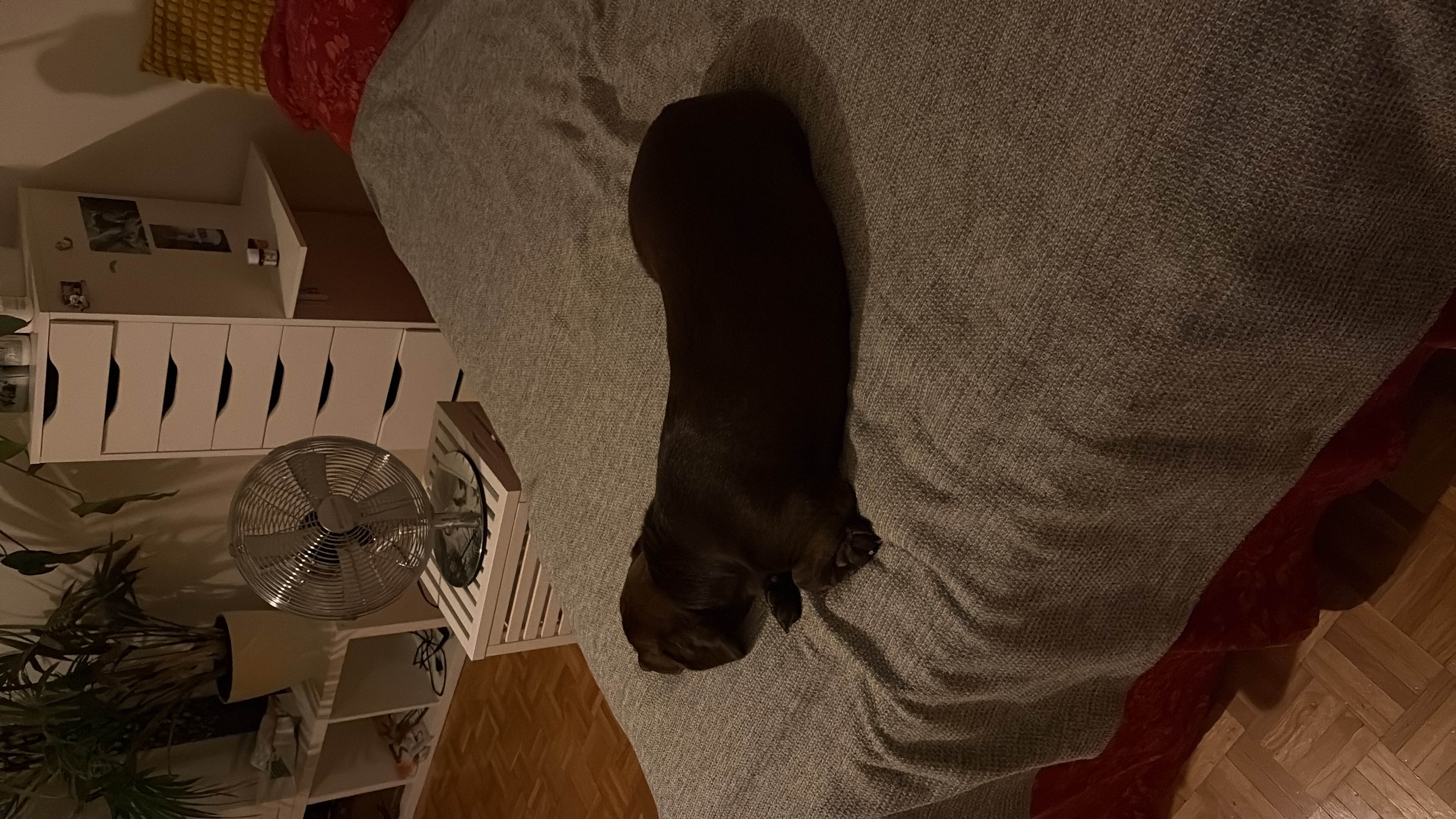image-10