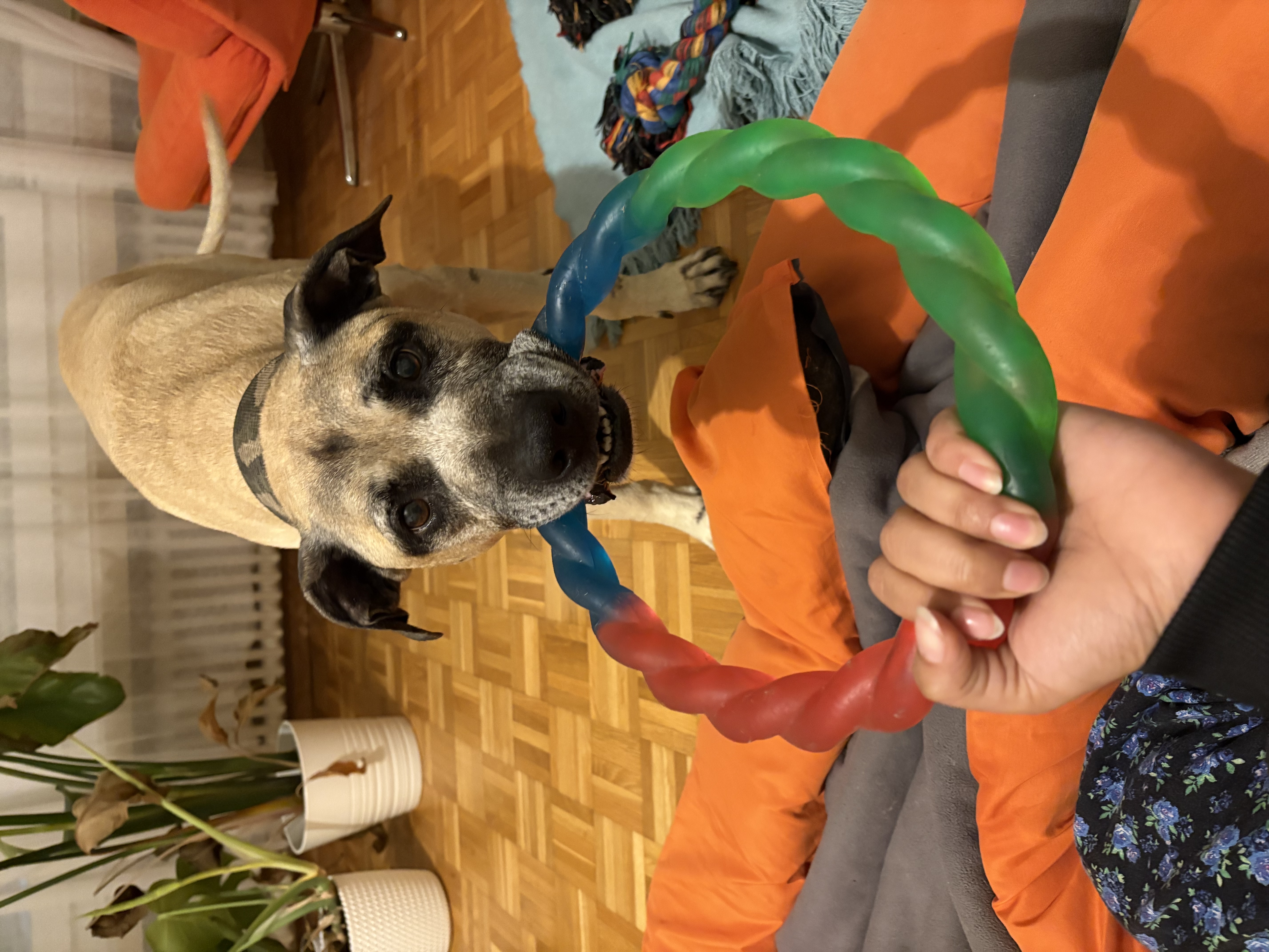 image-17