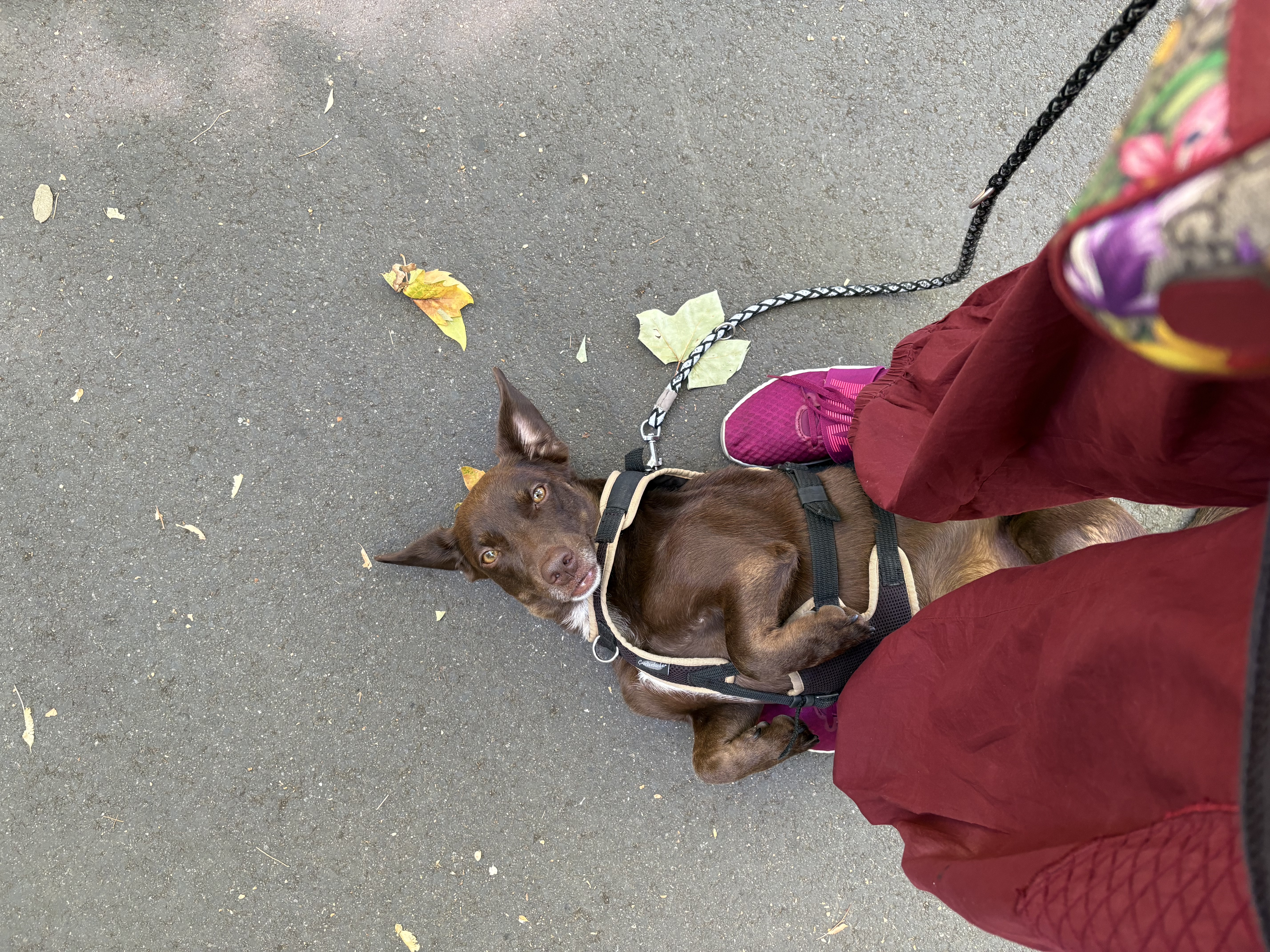 image-9