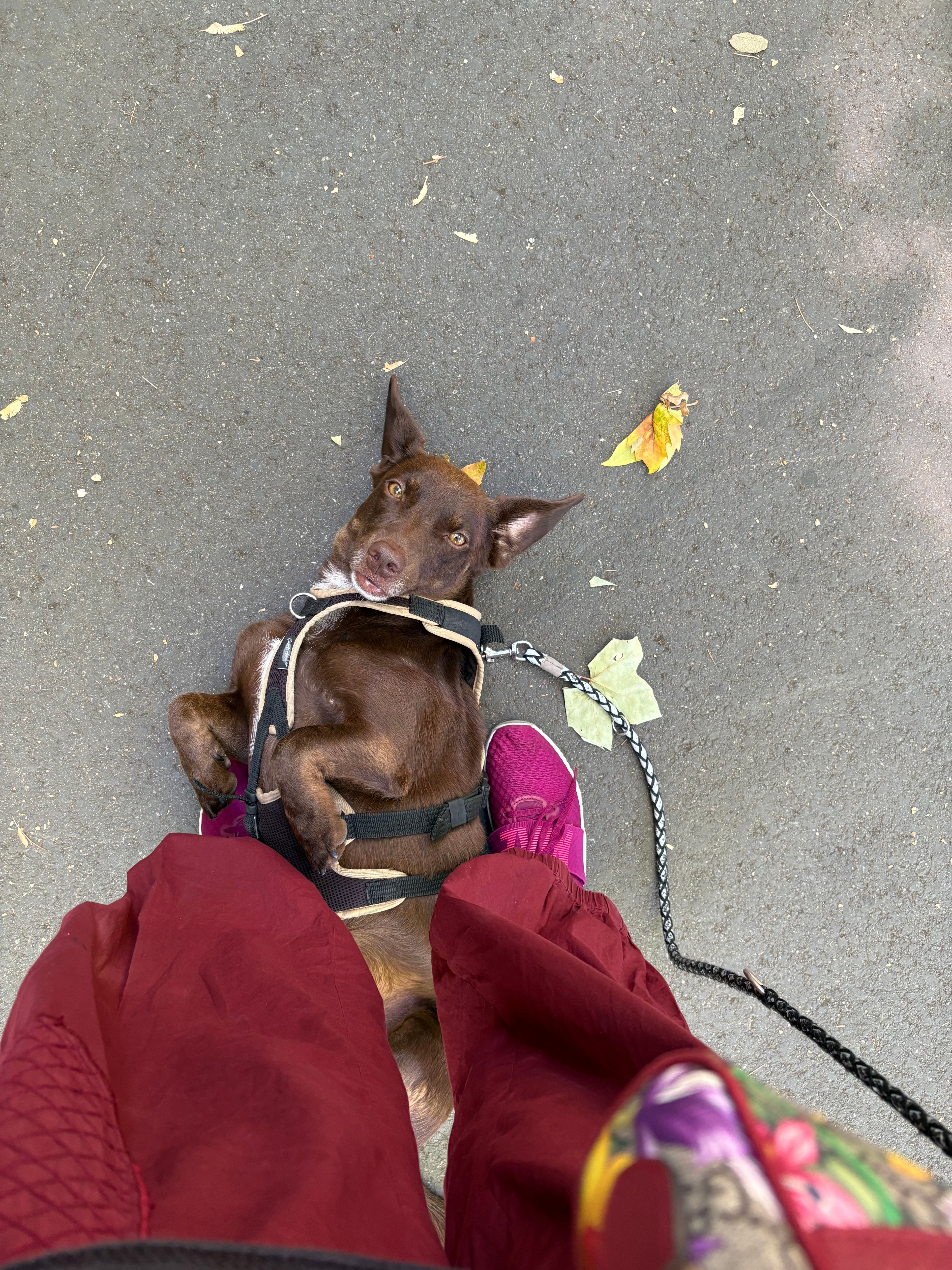 image-9