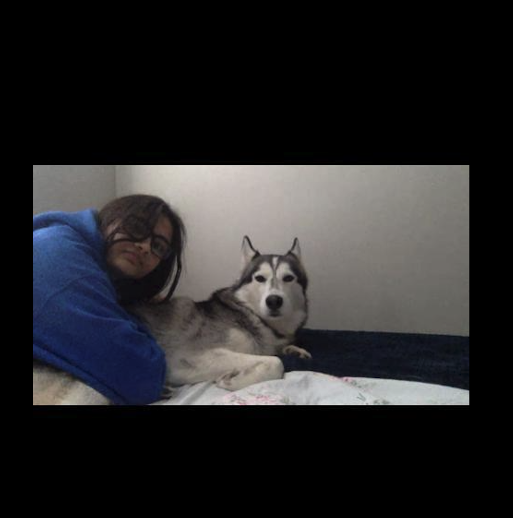 image-6