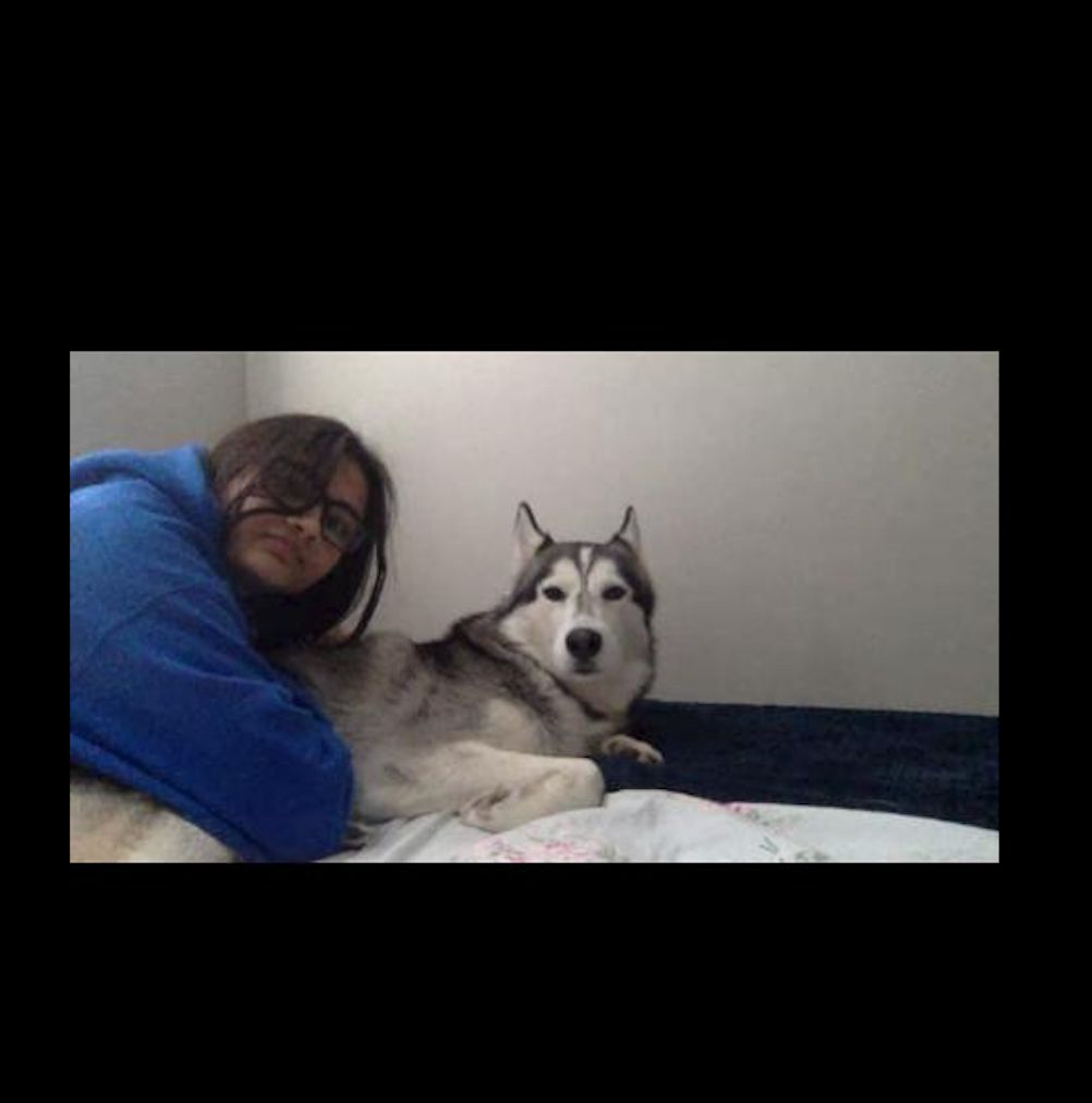 image-6