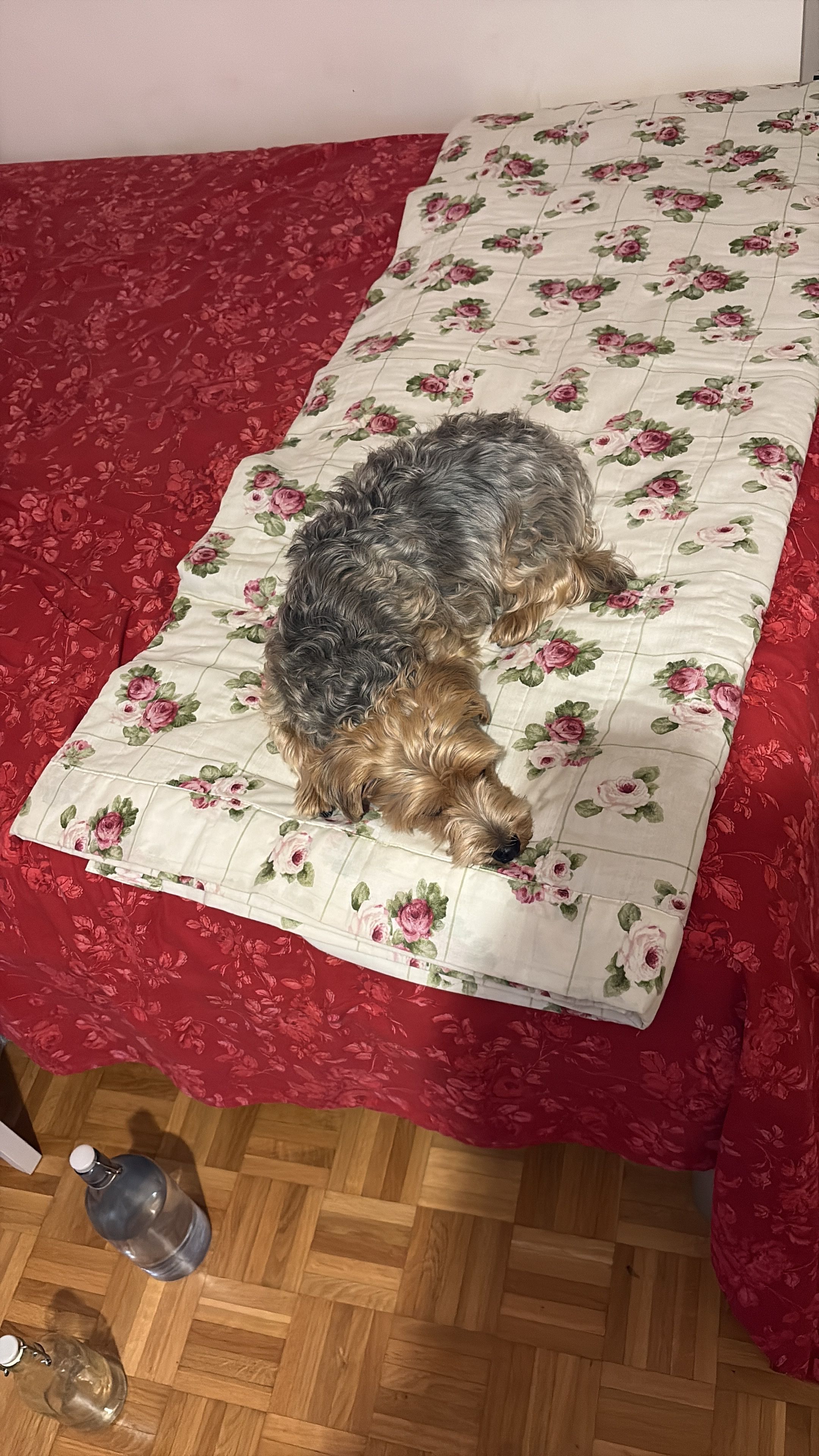 image-13