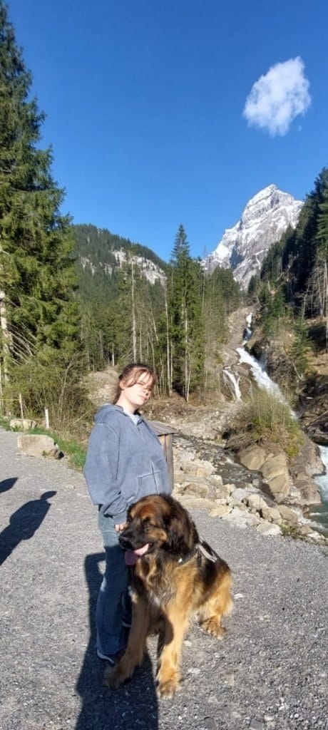 image-9