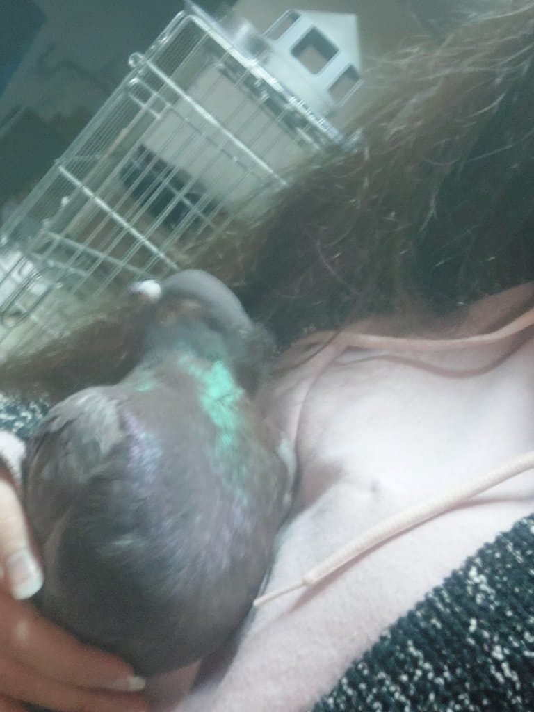 image-5