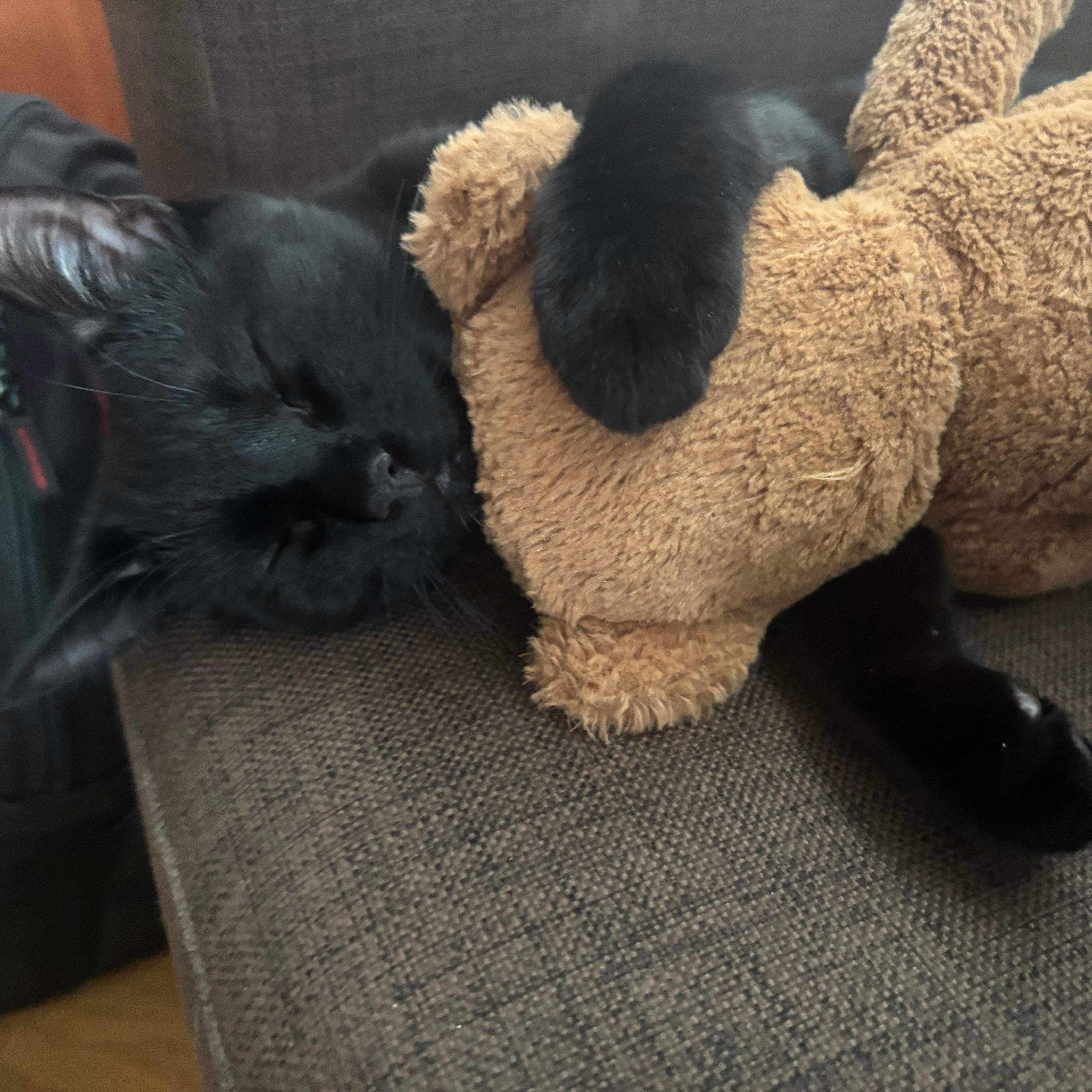 Säpo