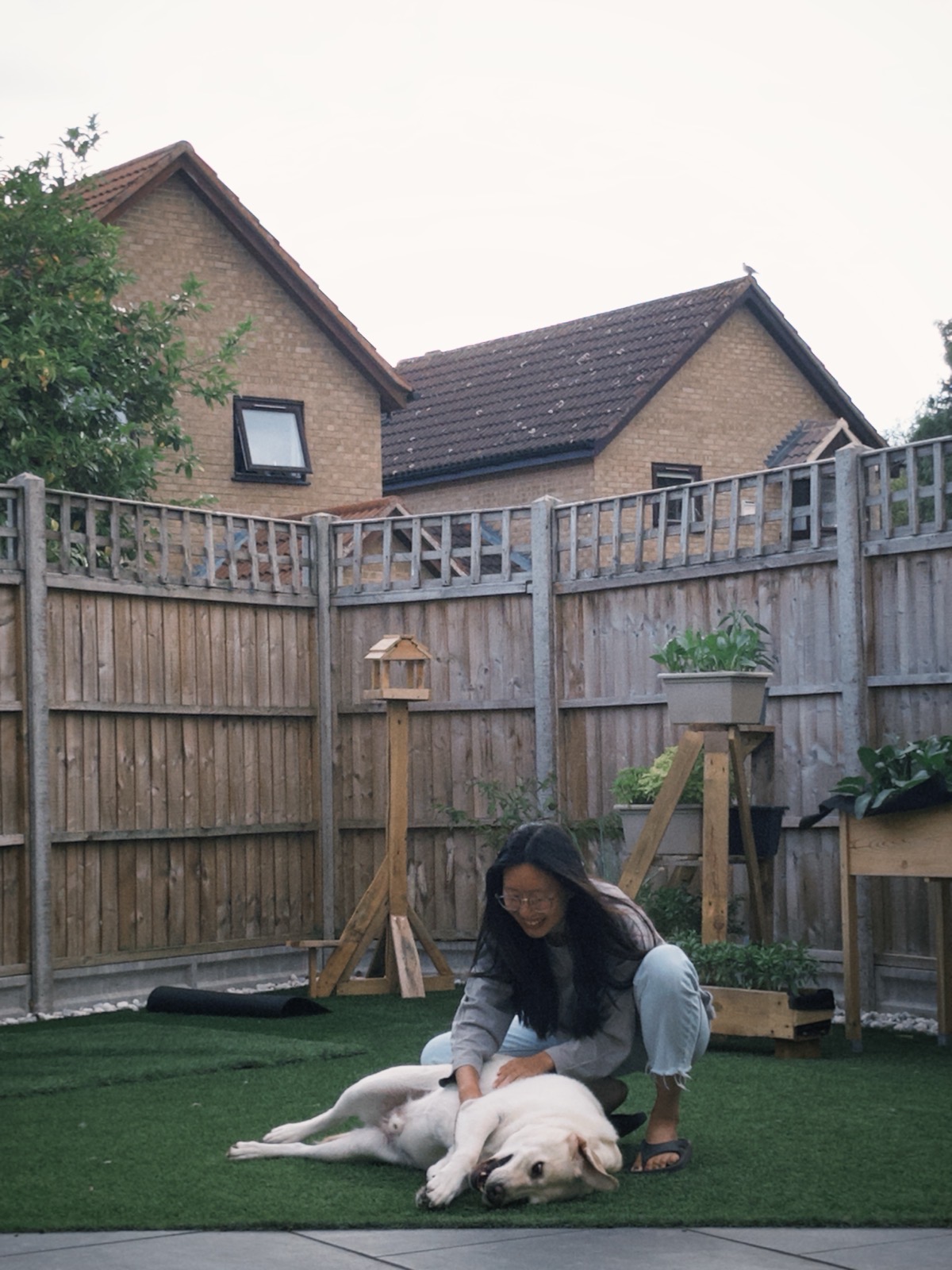 image-2