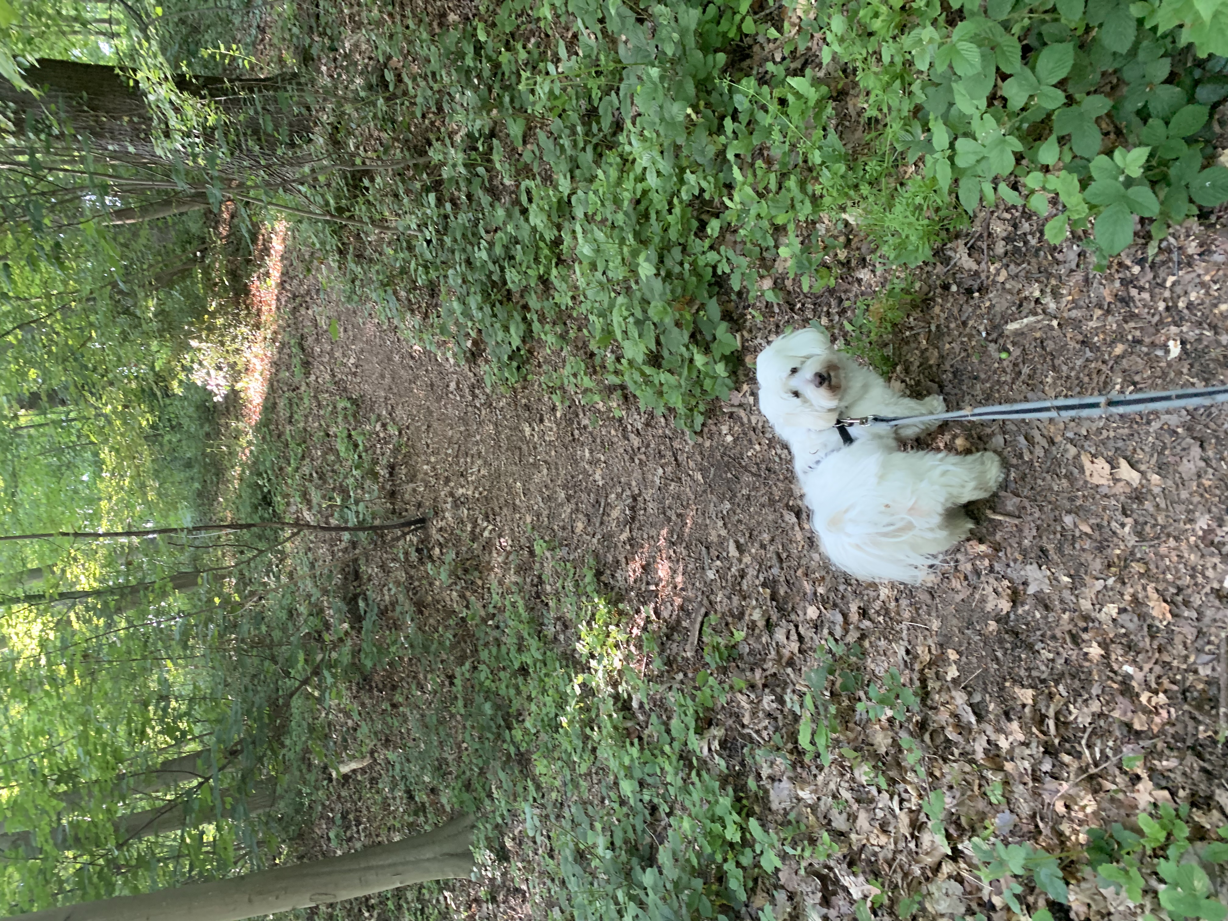 image-10