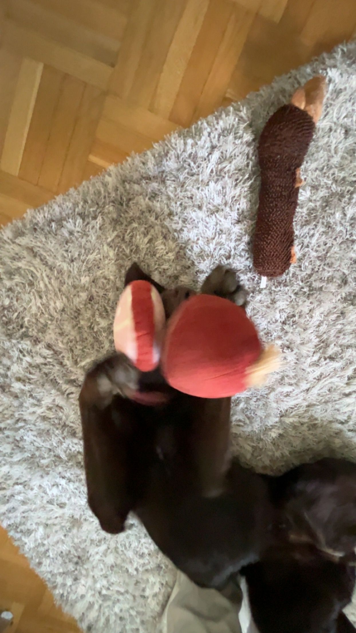 image-13