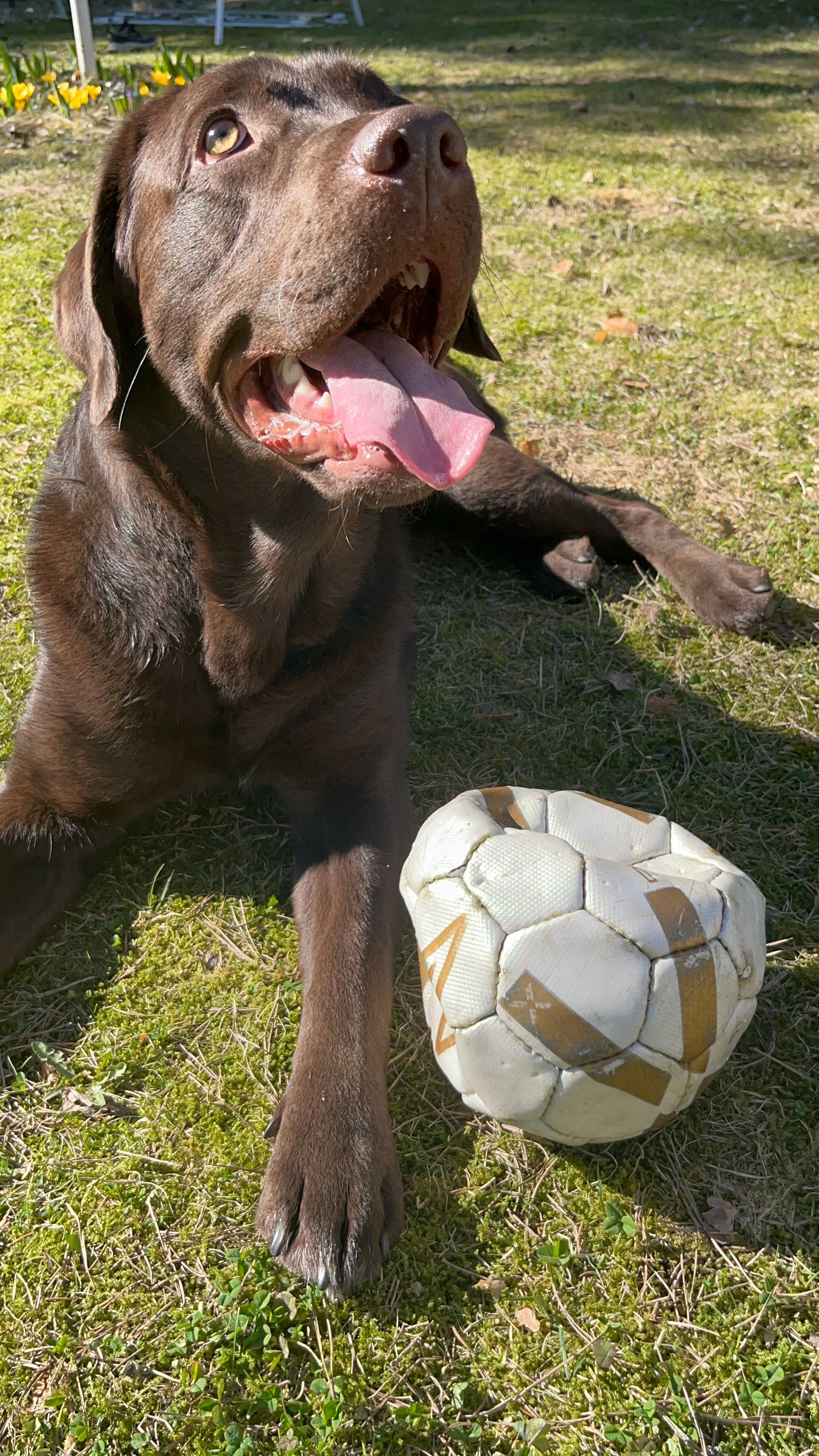 image-5