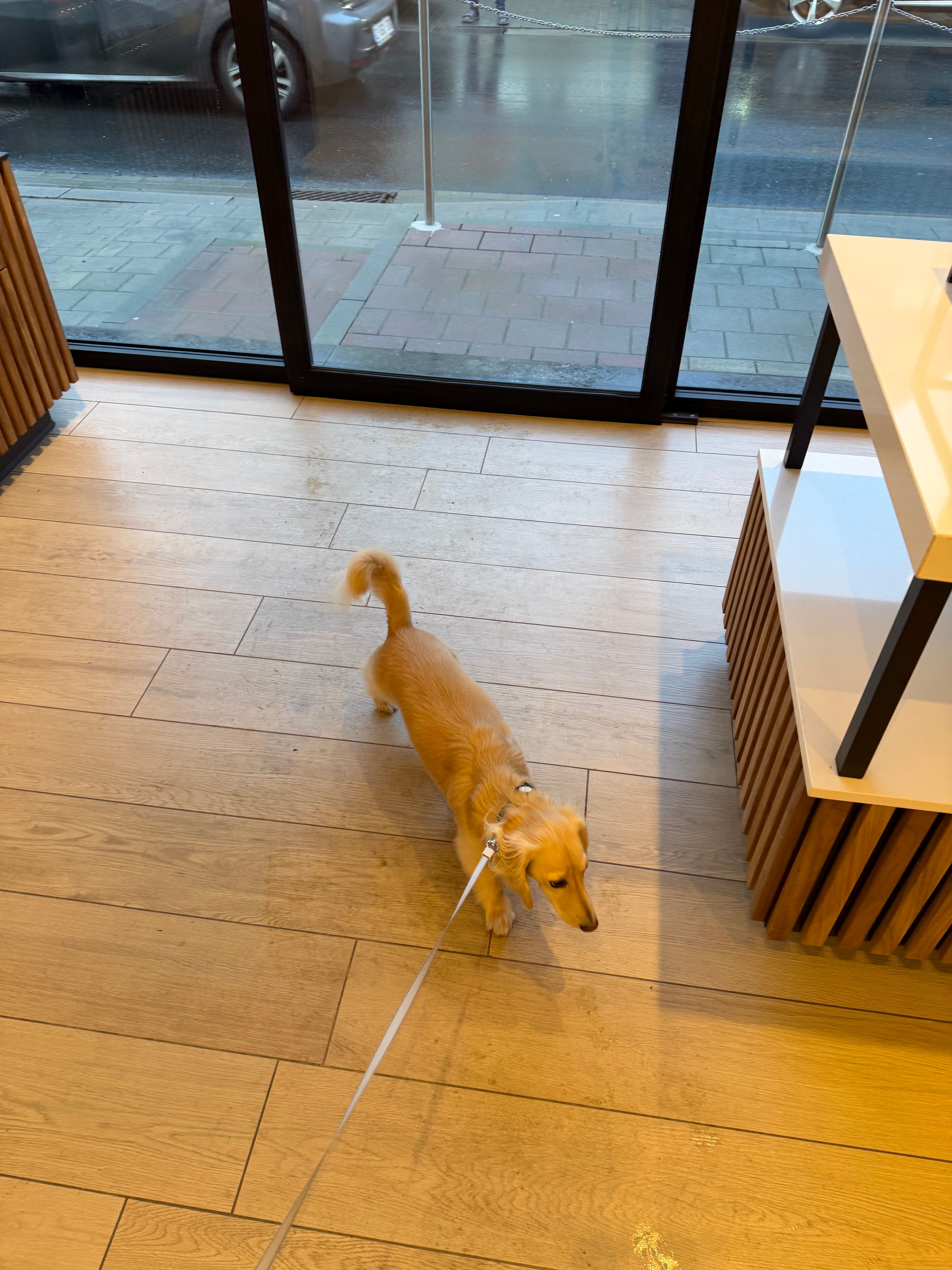 image-7