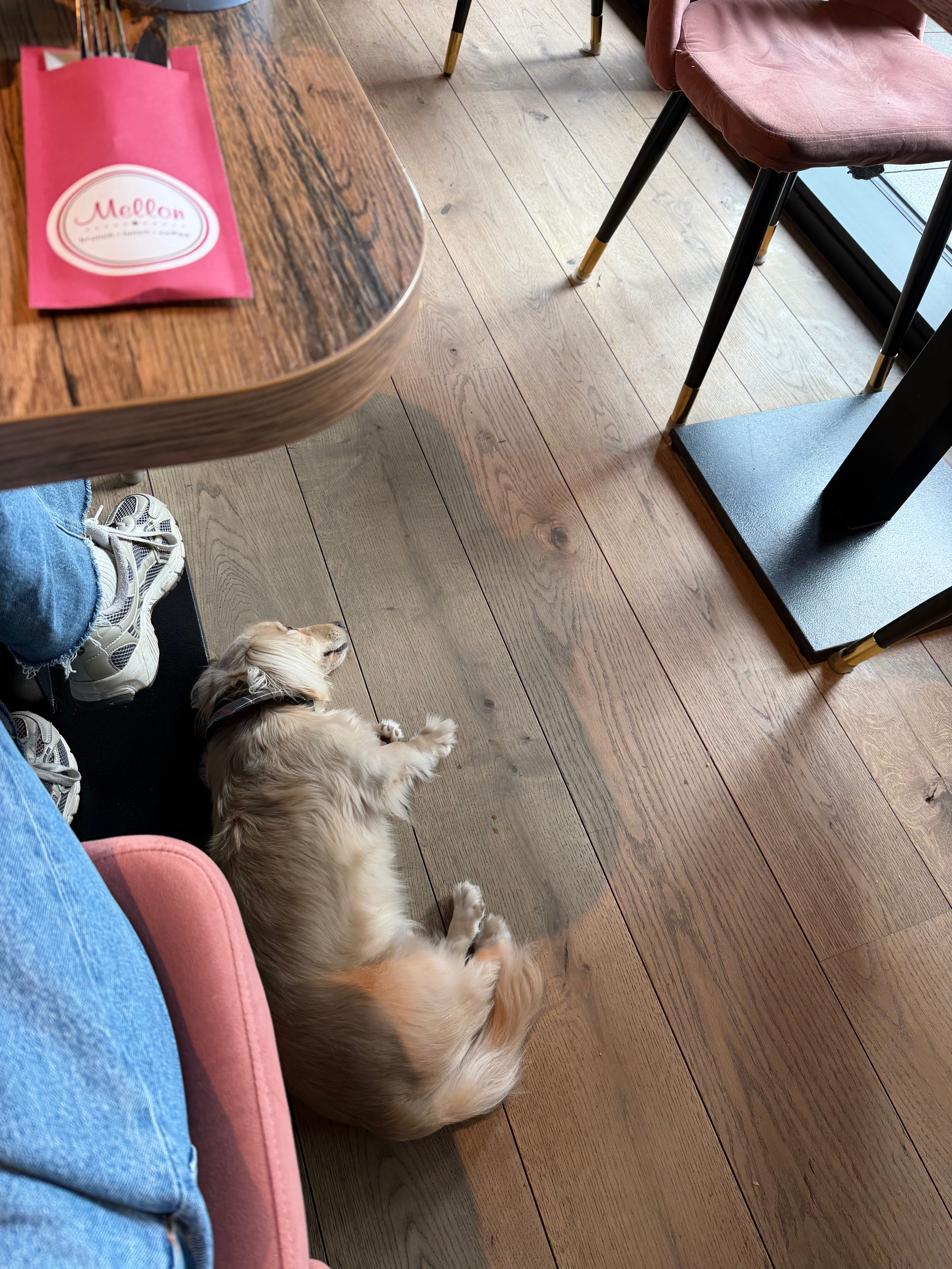 image-10