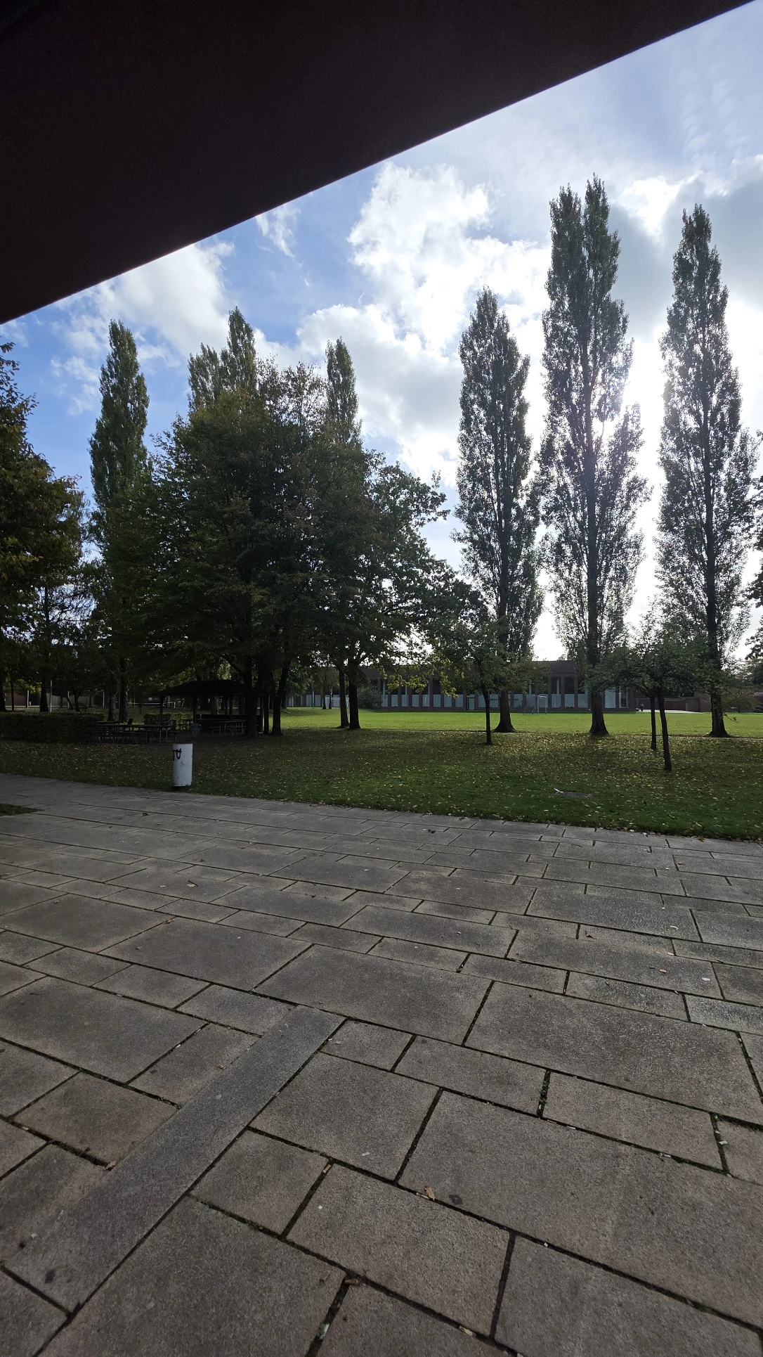 image-20