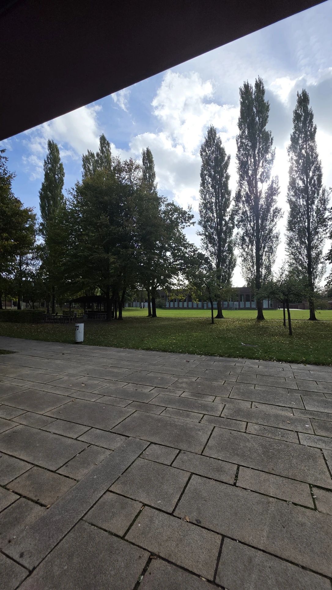 image-20