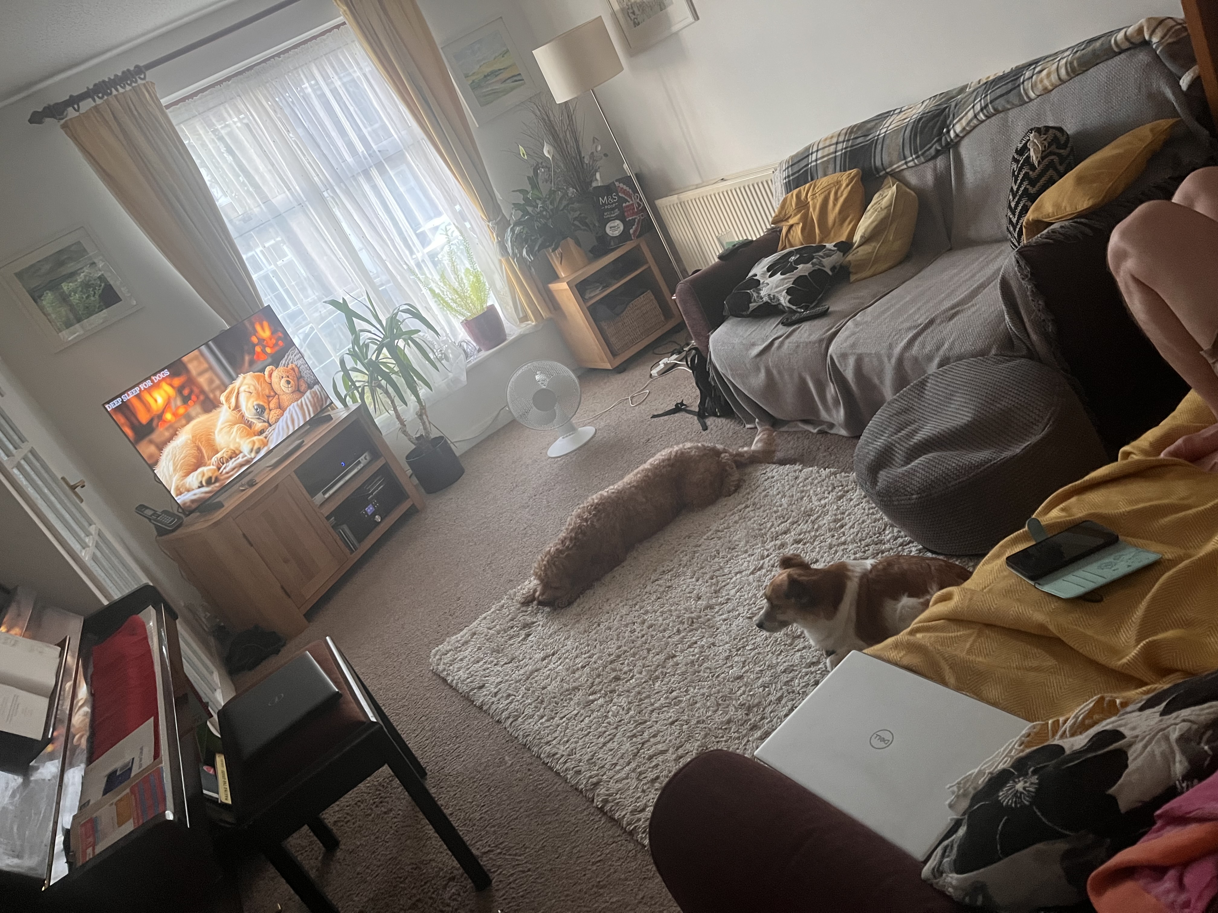 image-16