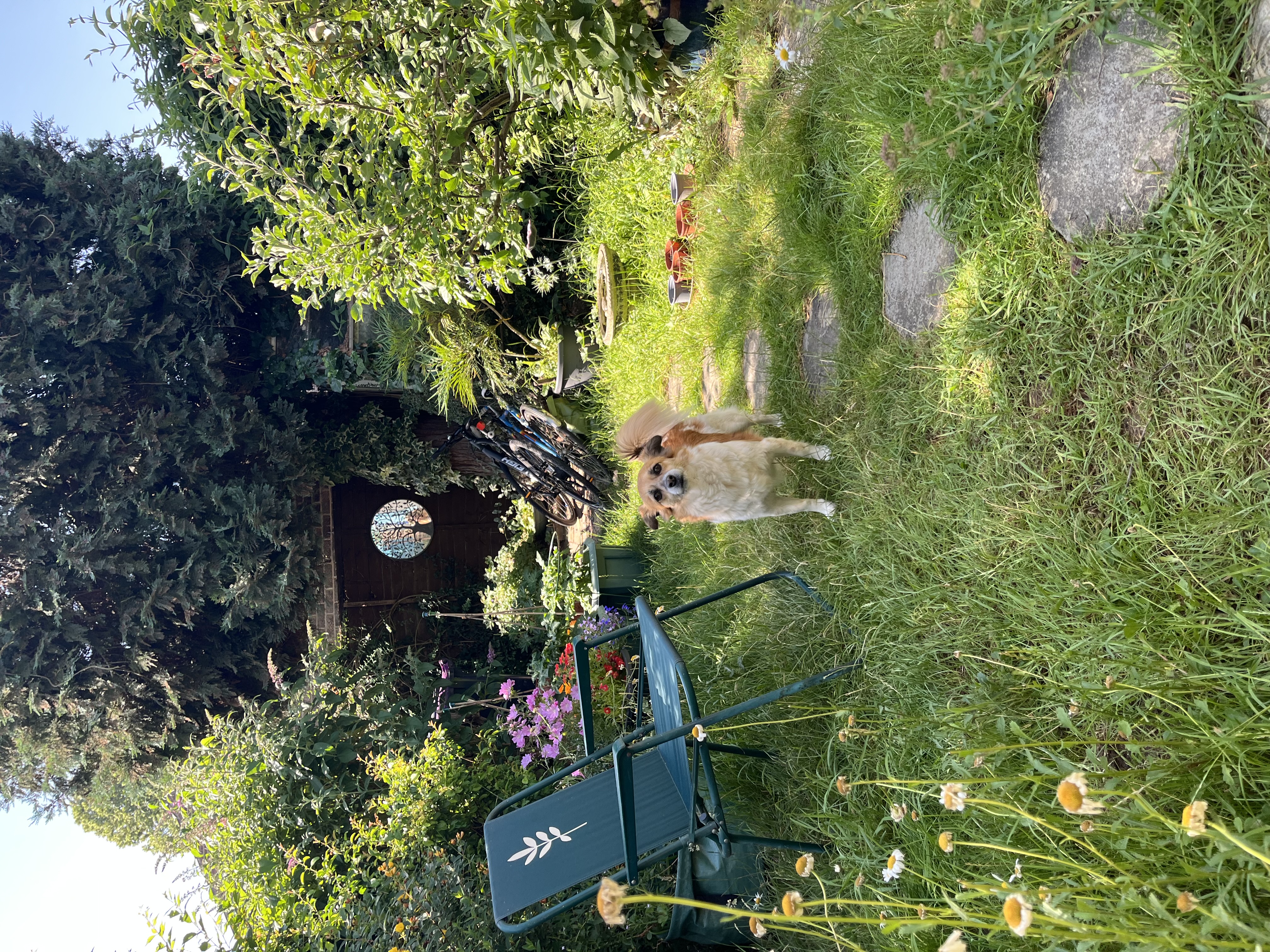 image-18