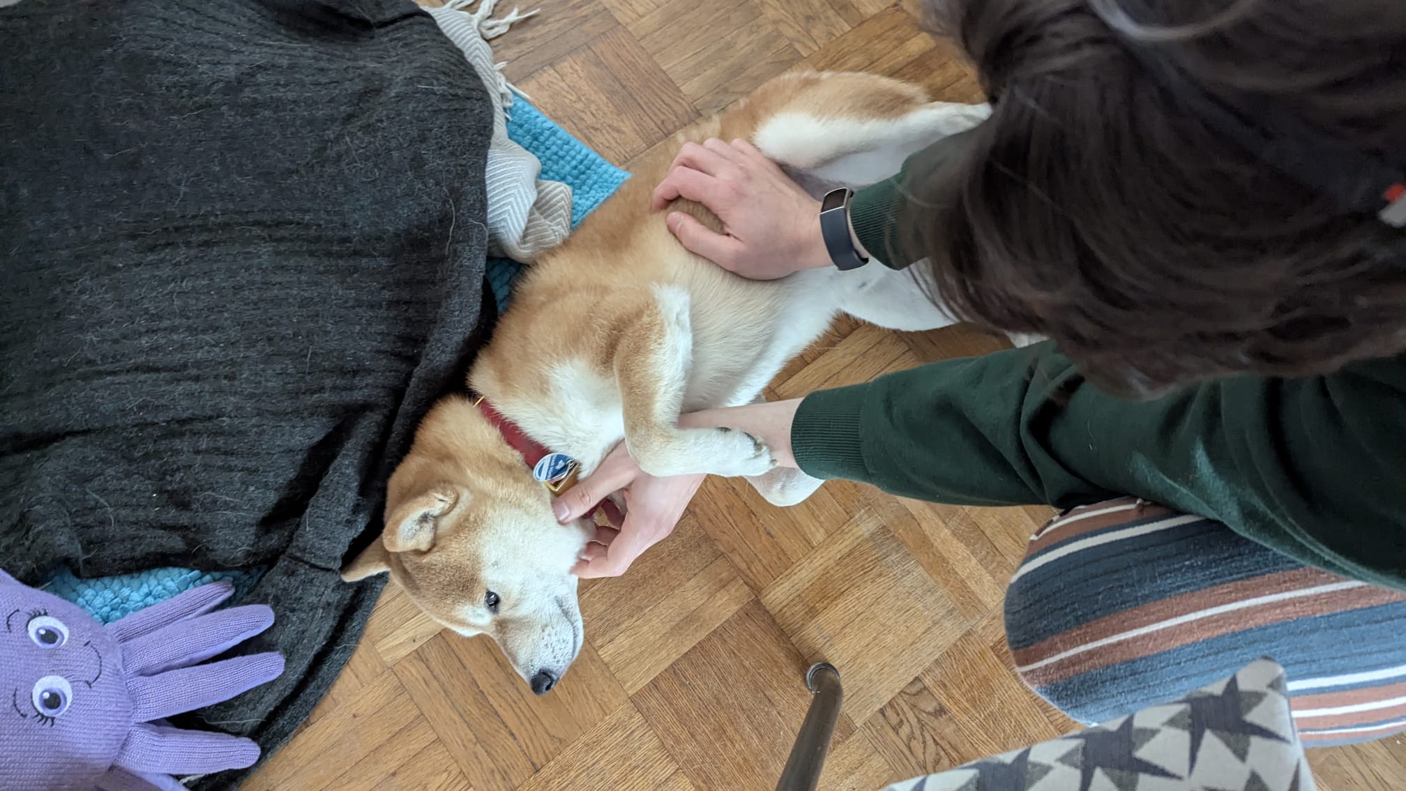 image-15