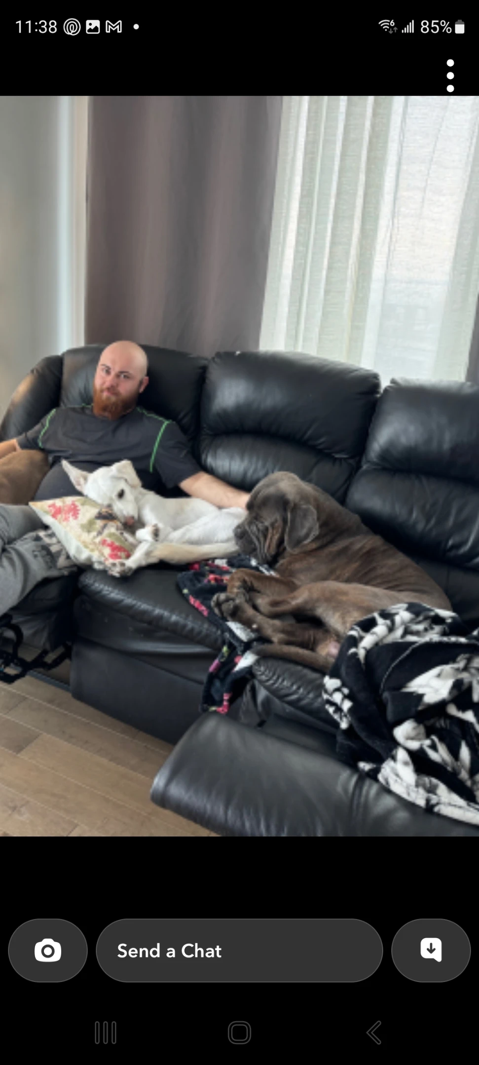 image-7