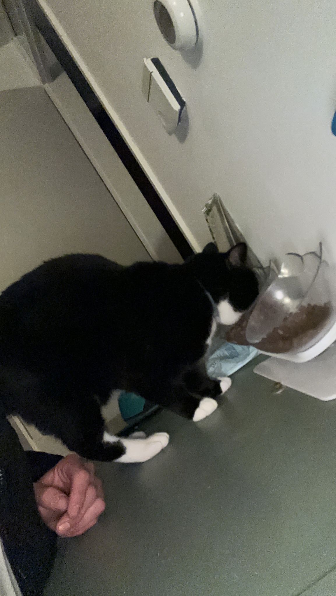 image-6