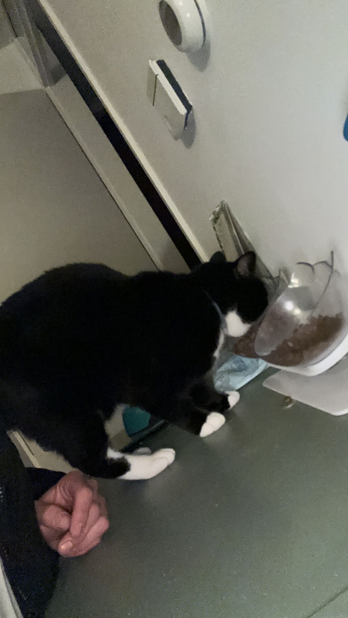 image-6