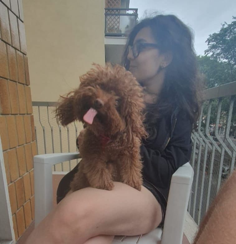 image-7