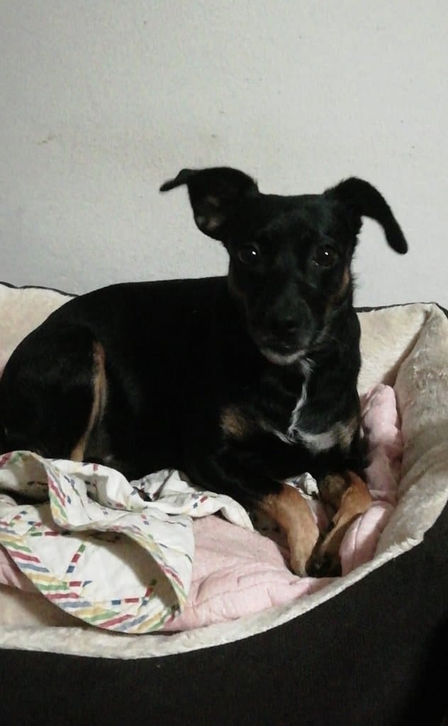 image-6