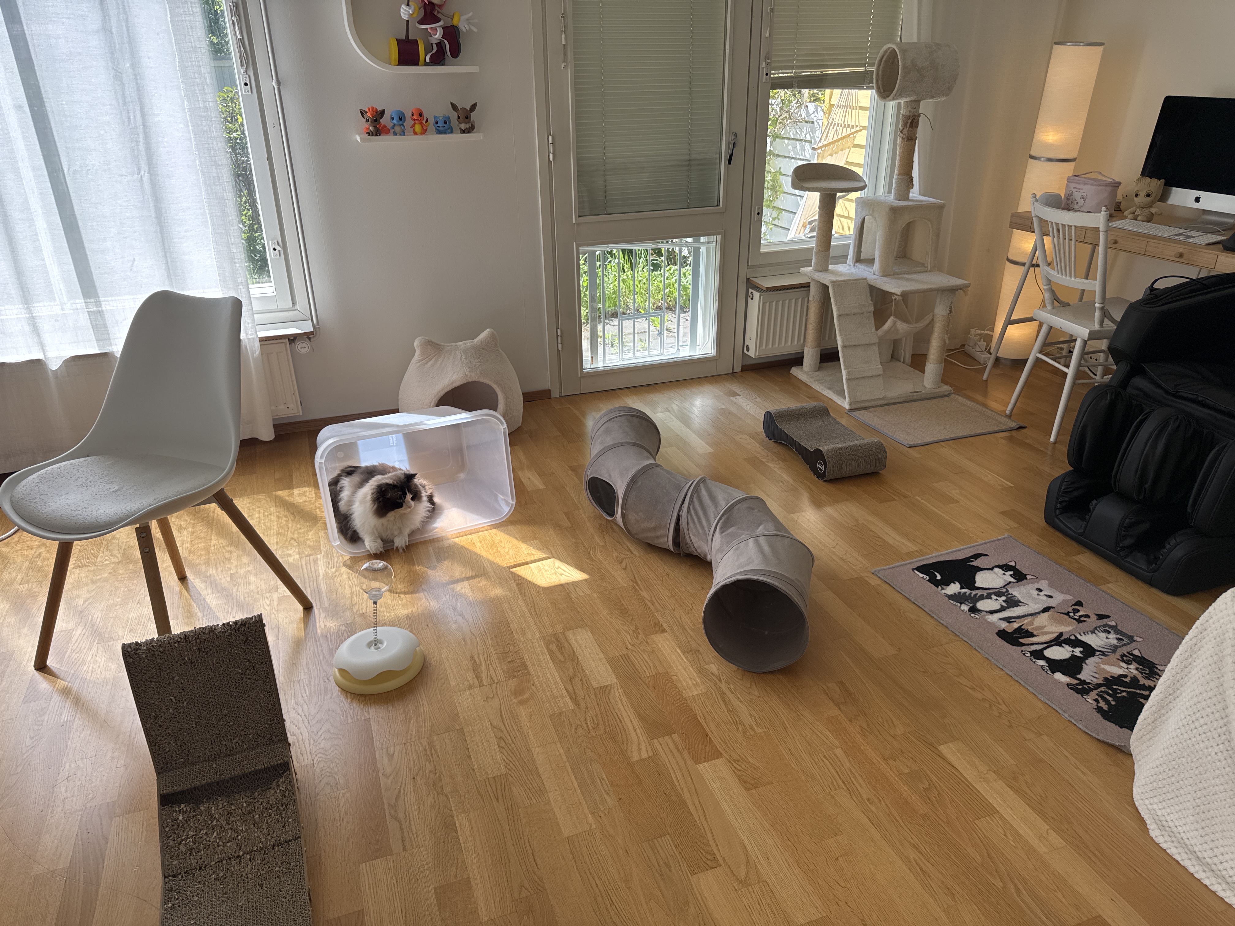 image-11