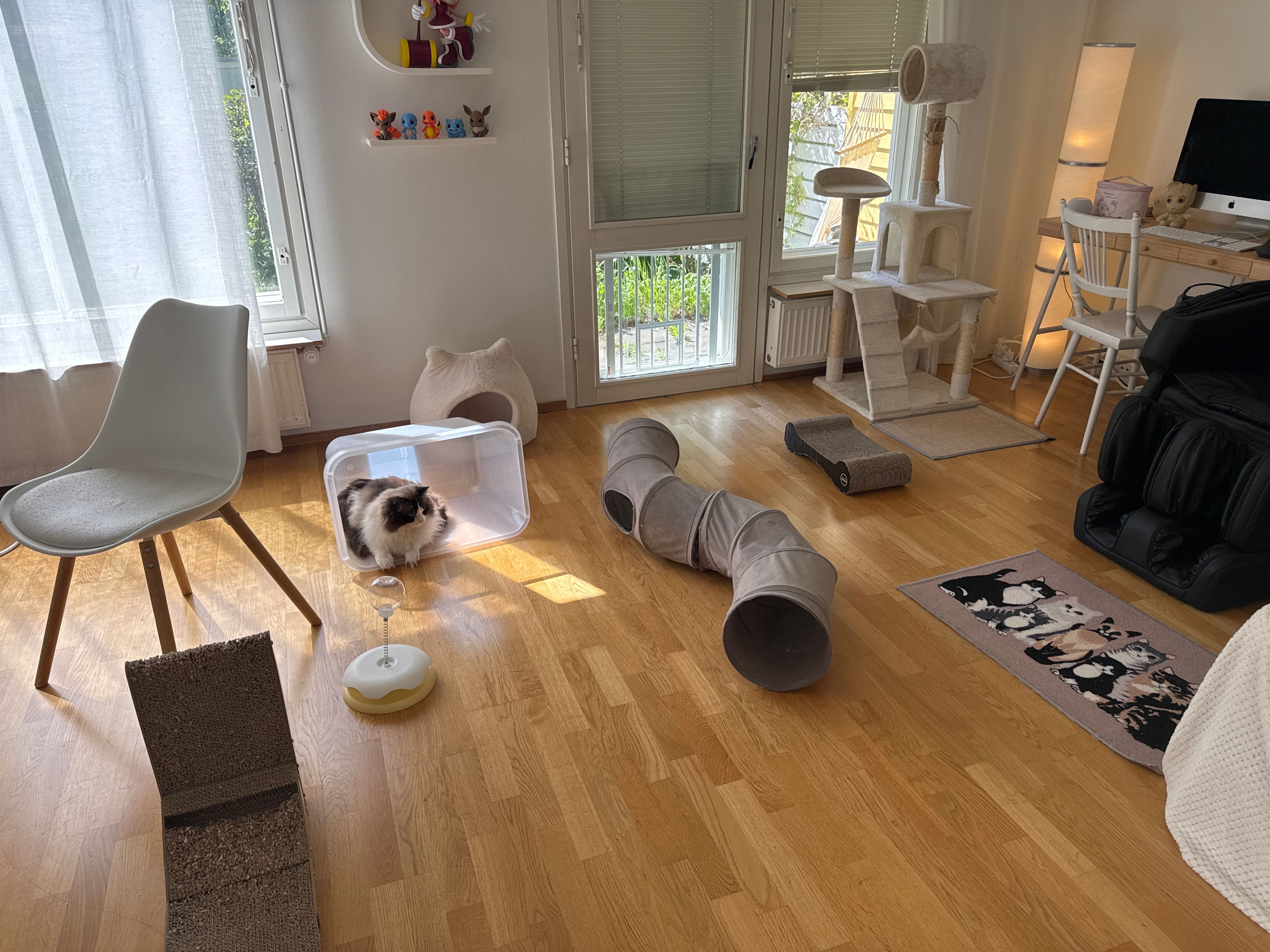 image-11