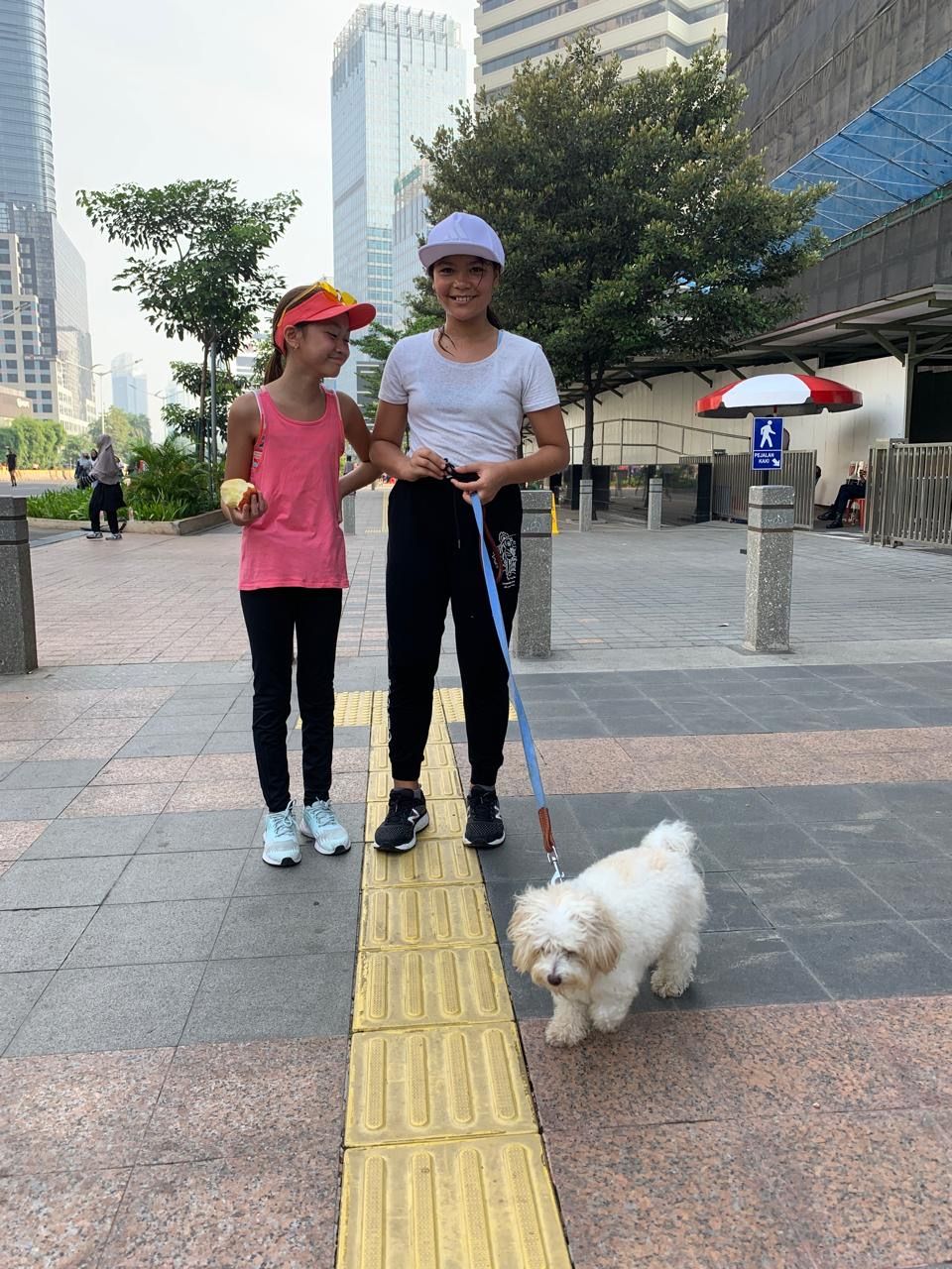 image-11