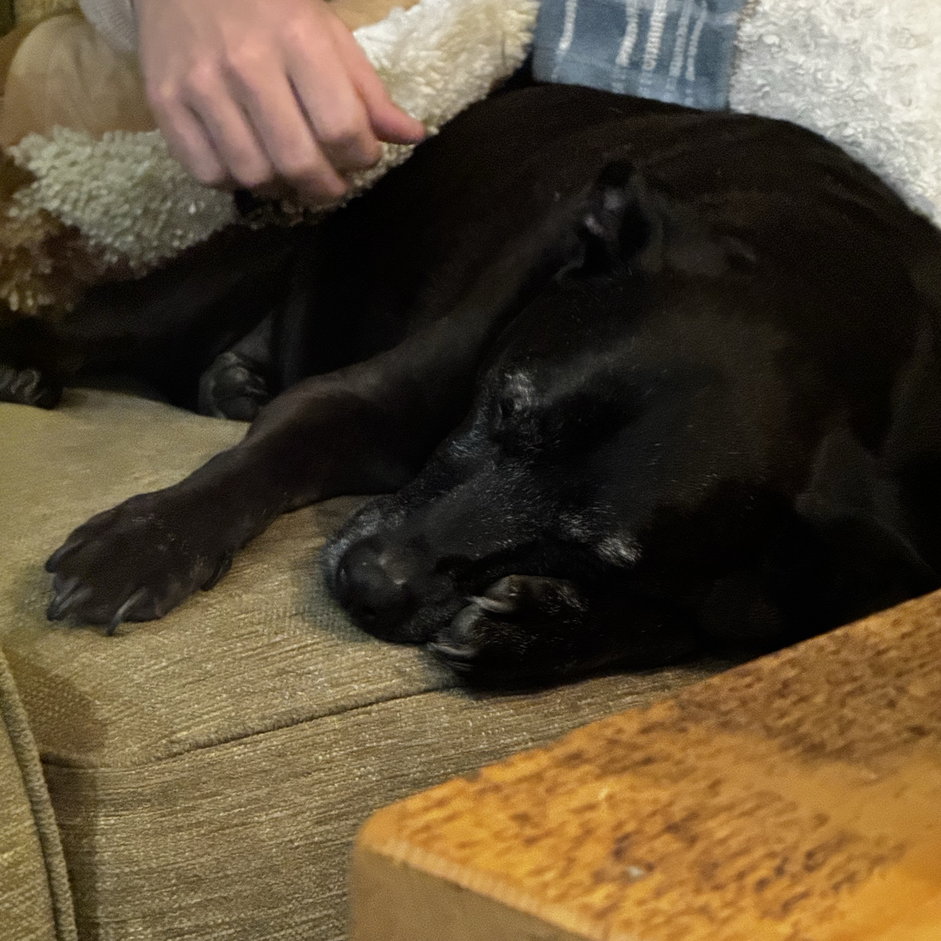 Max