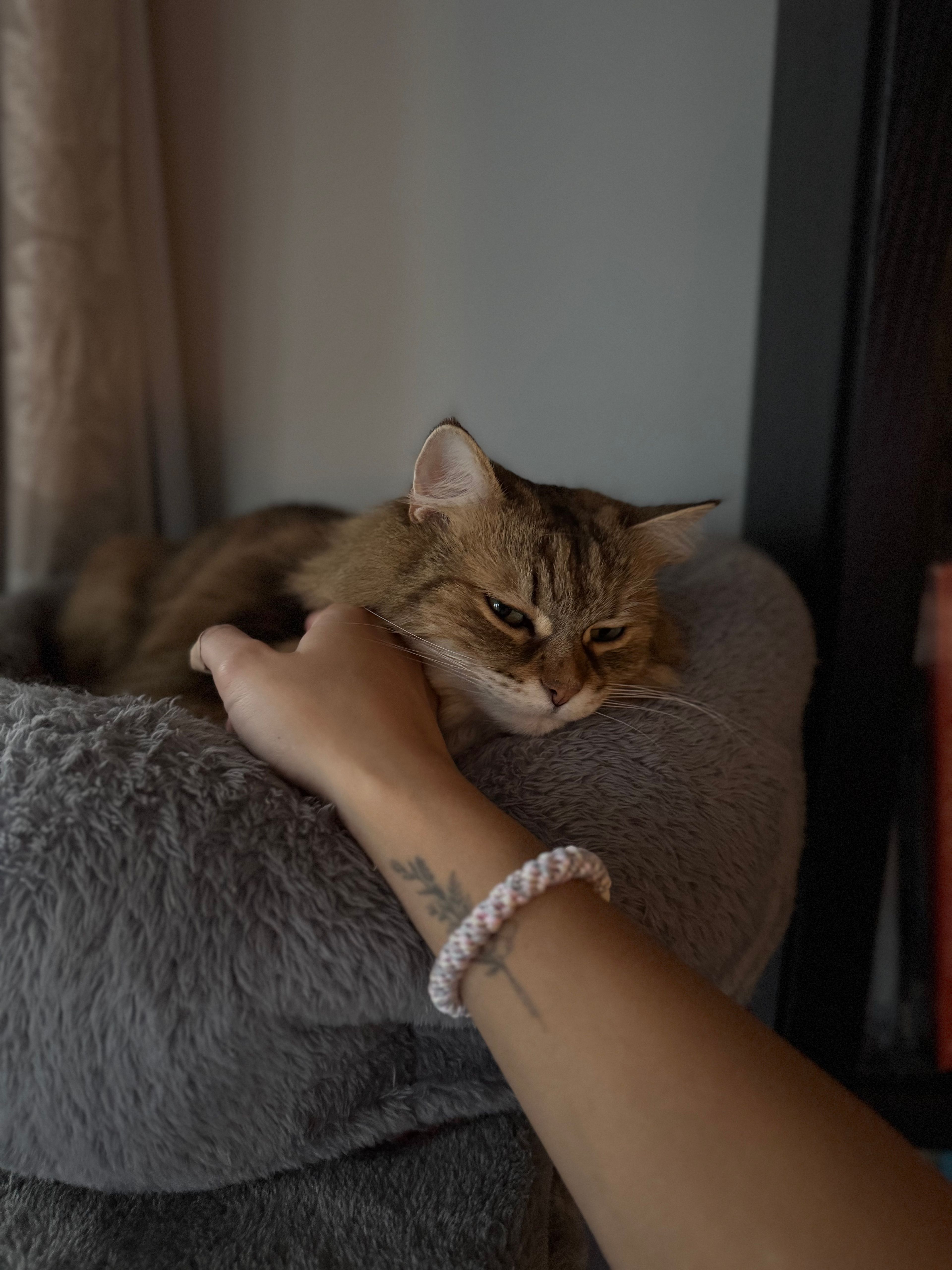 image-26