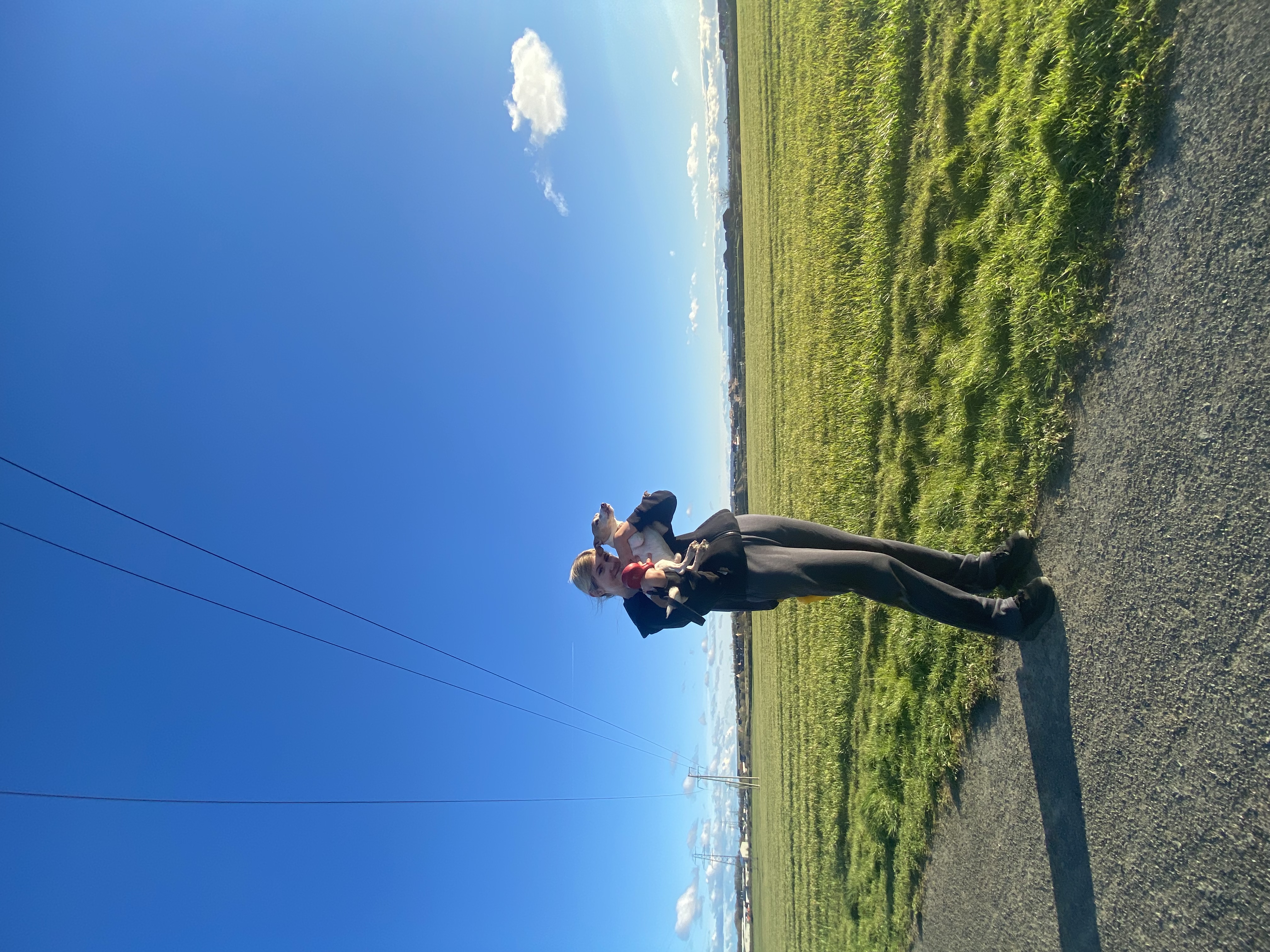 image-4