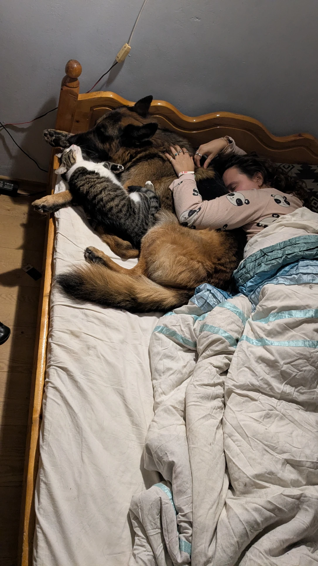 image-8