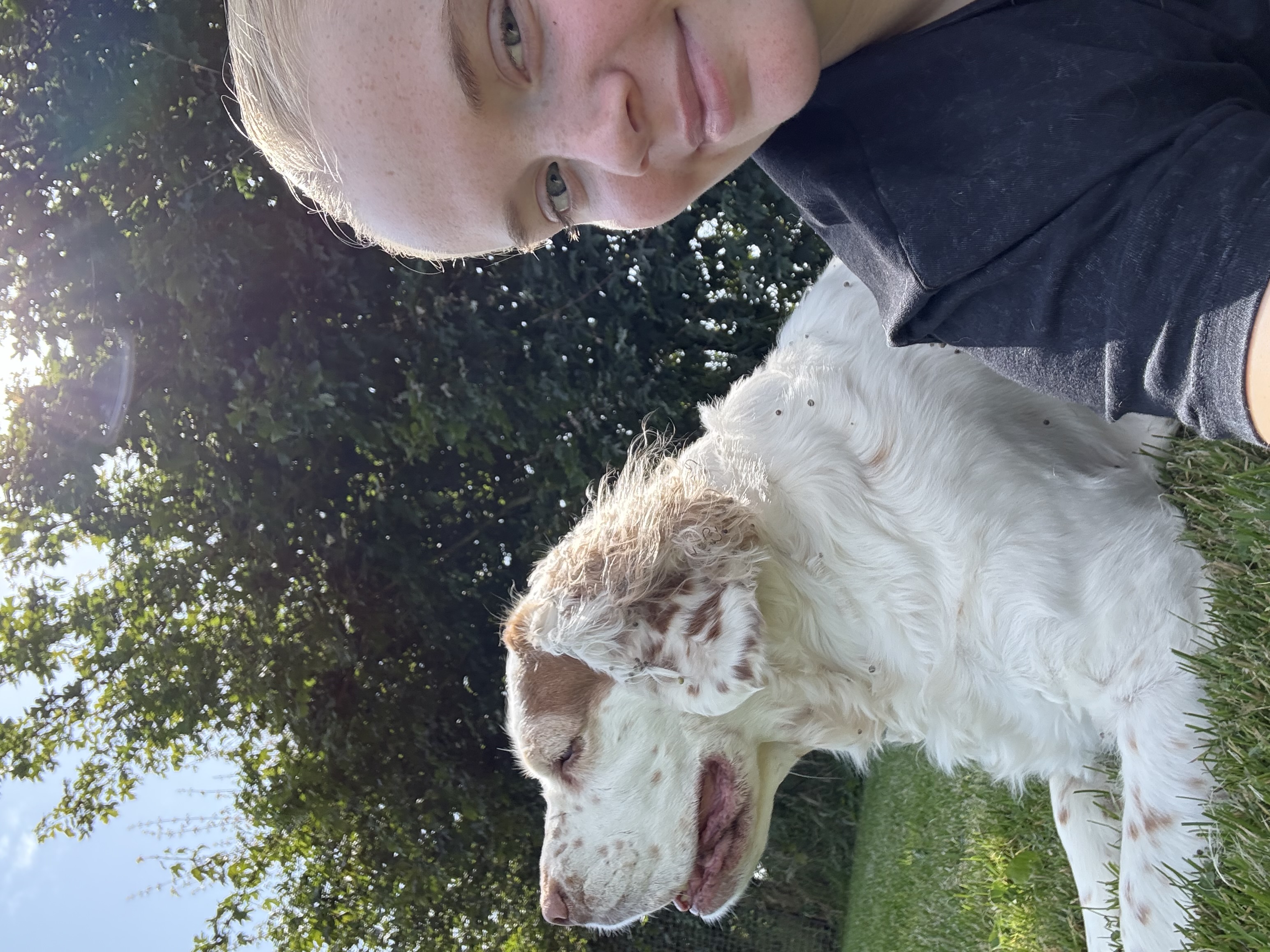 image-7