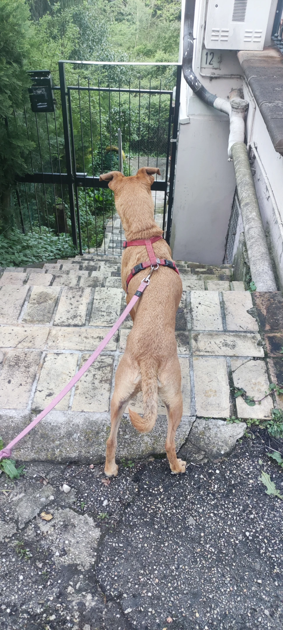 image-9