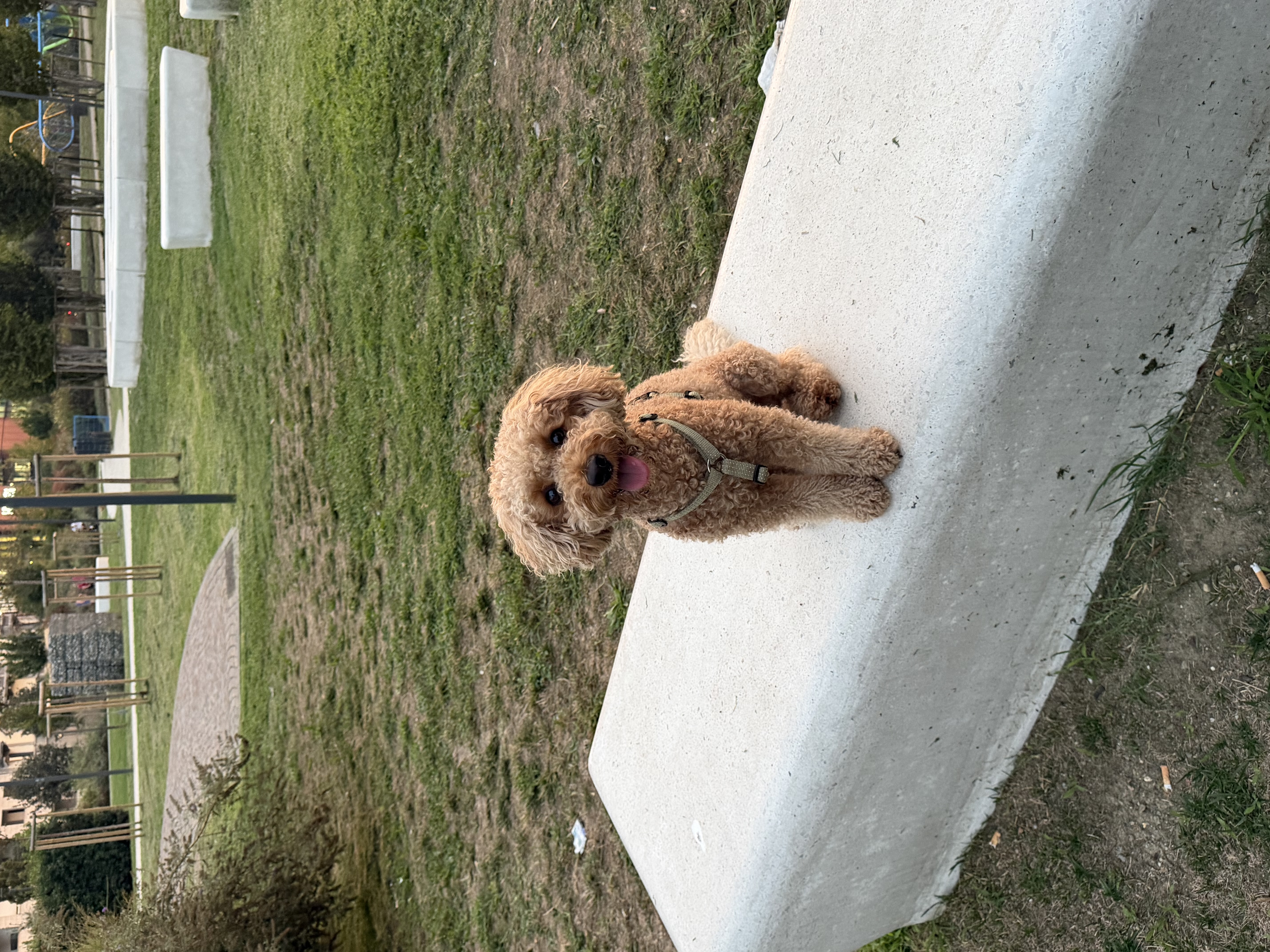 image-8
