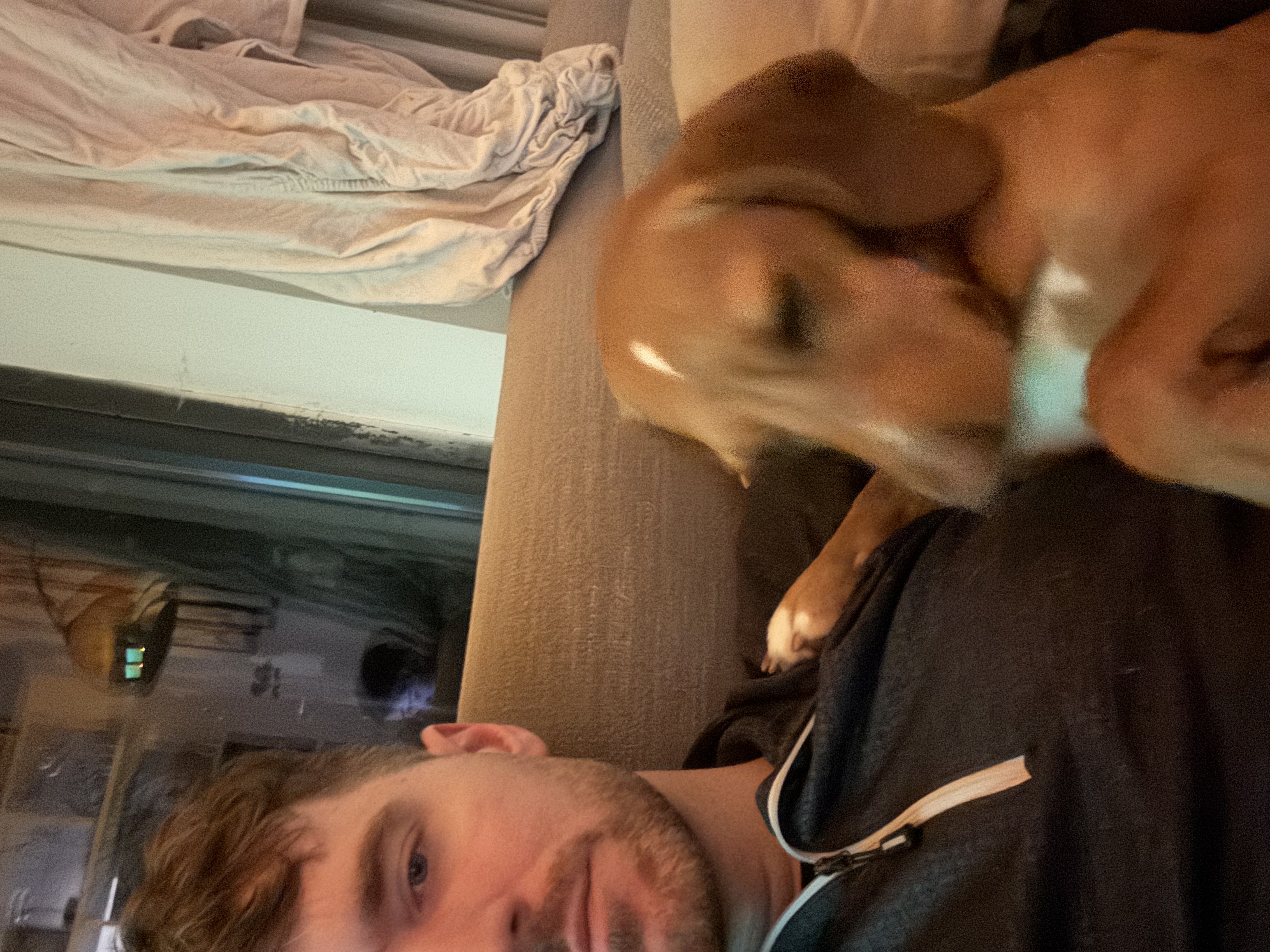 image-8