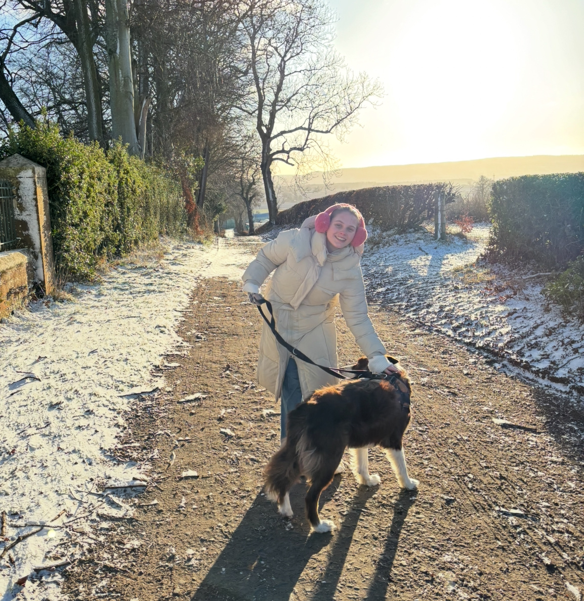 image-6