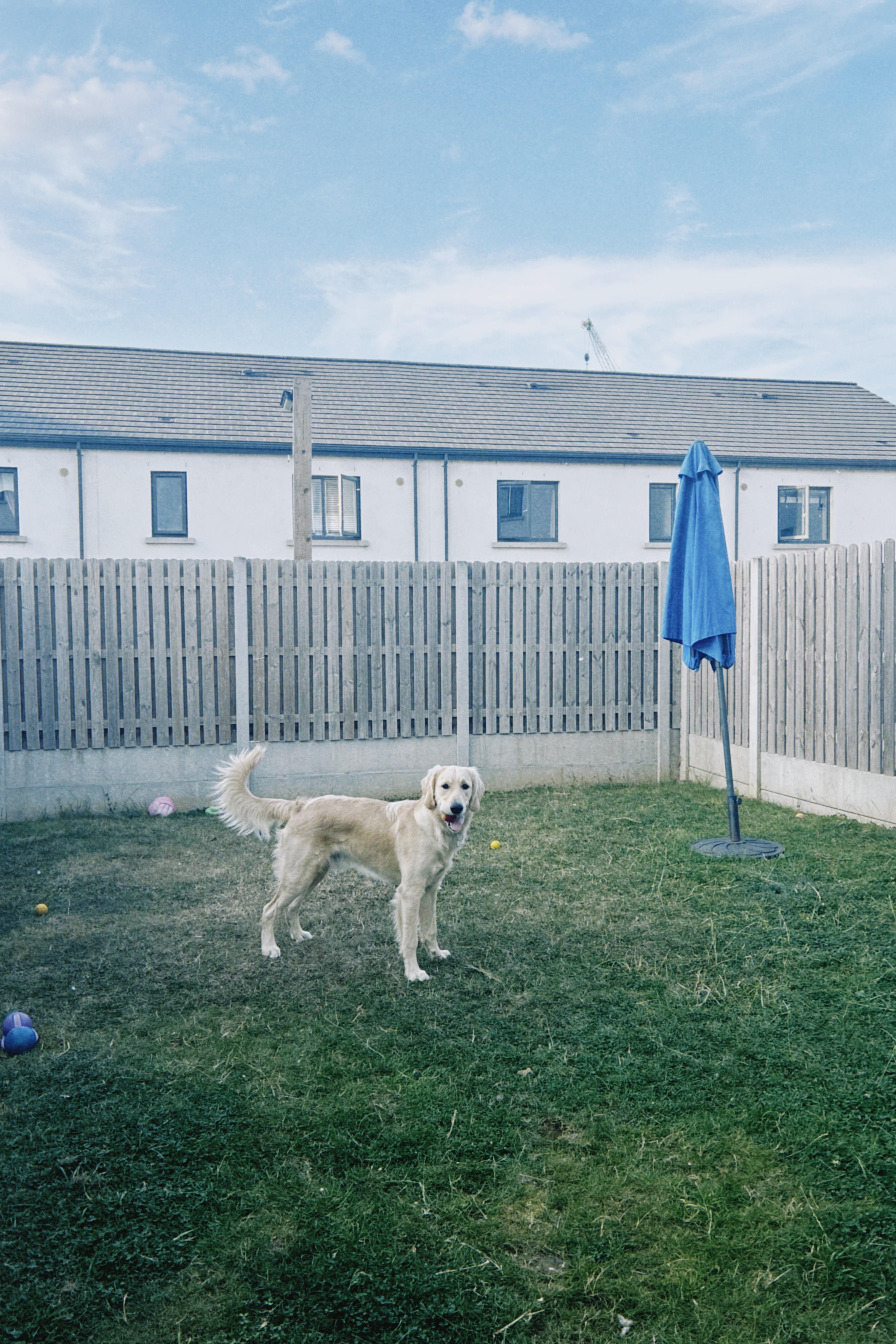 image-20