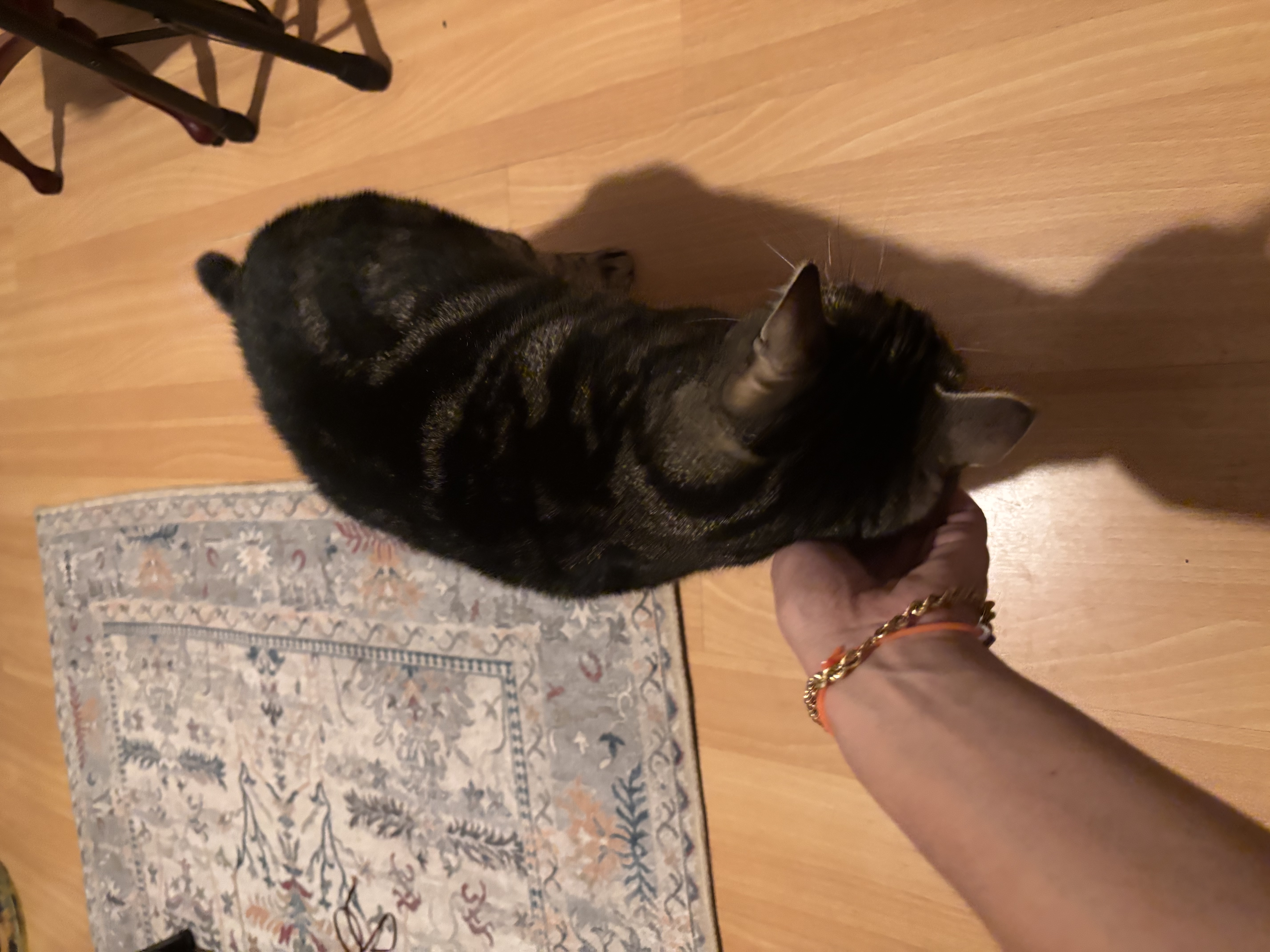 image-8