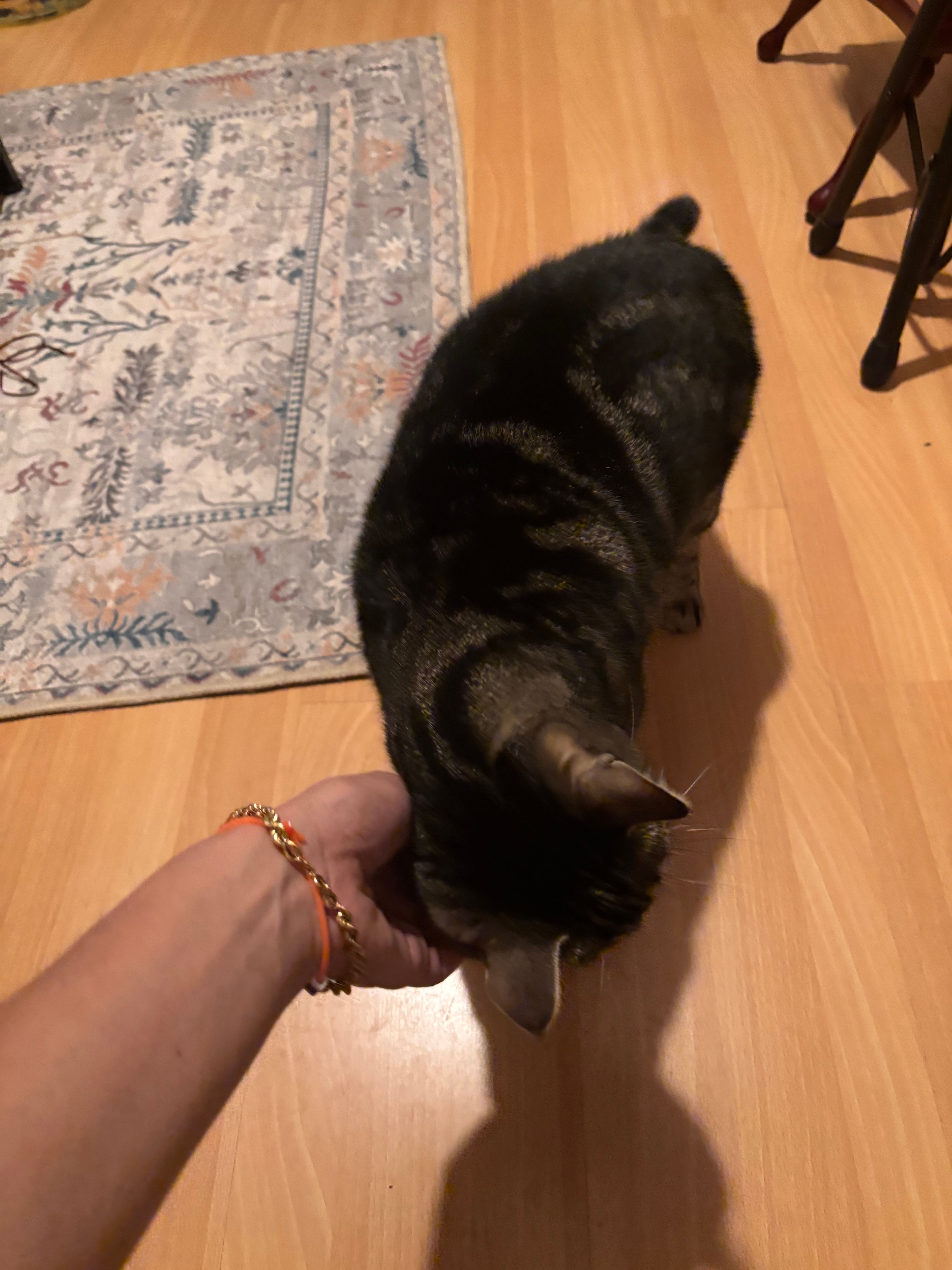 image-8