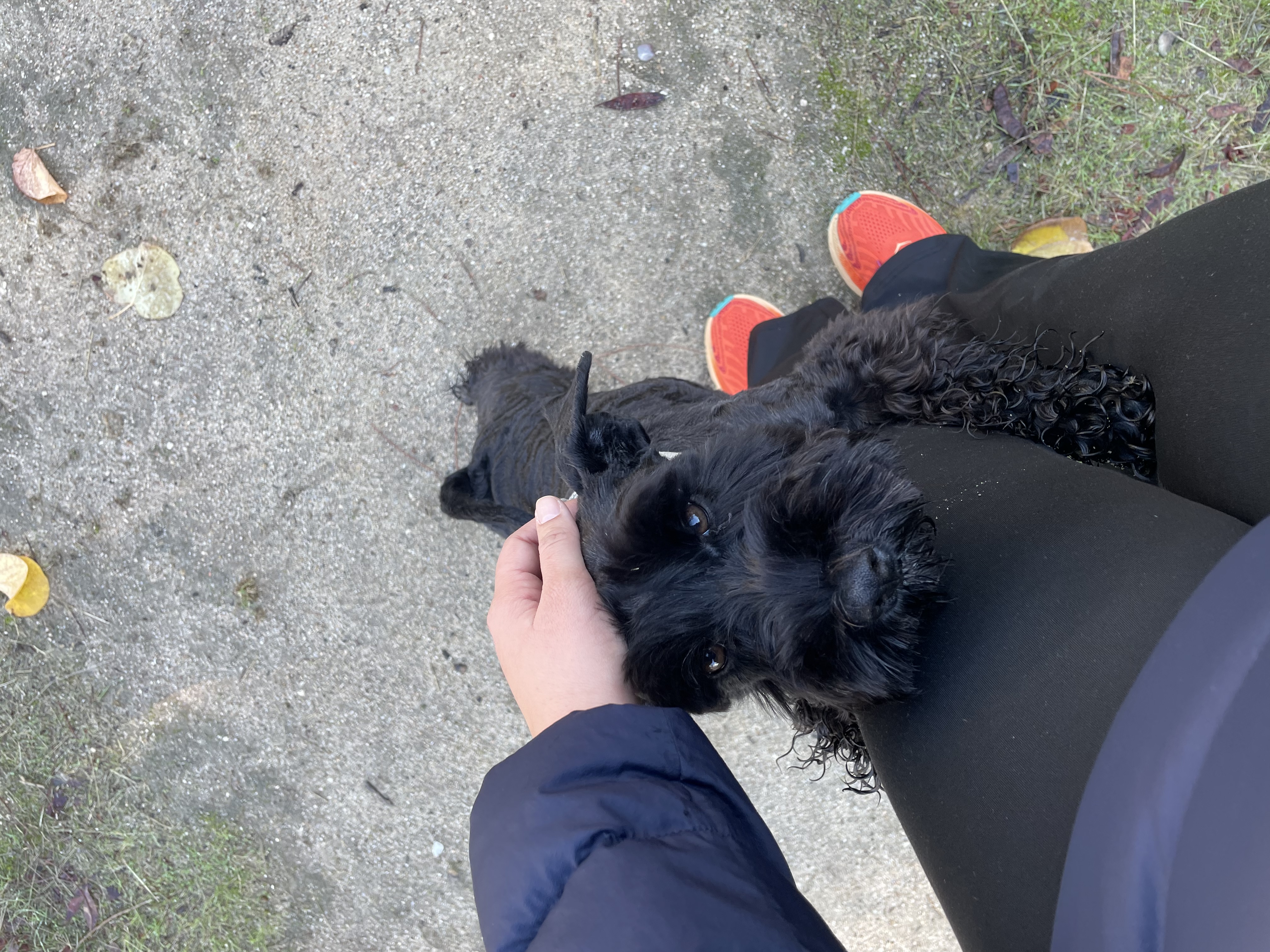 image-7
