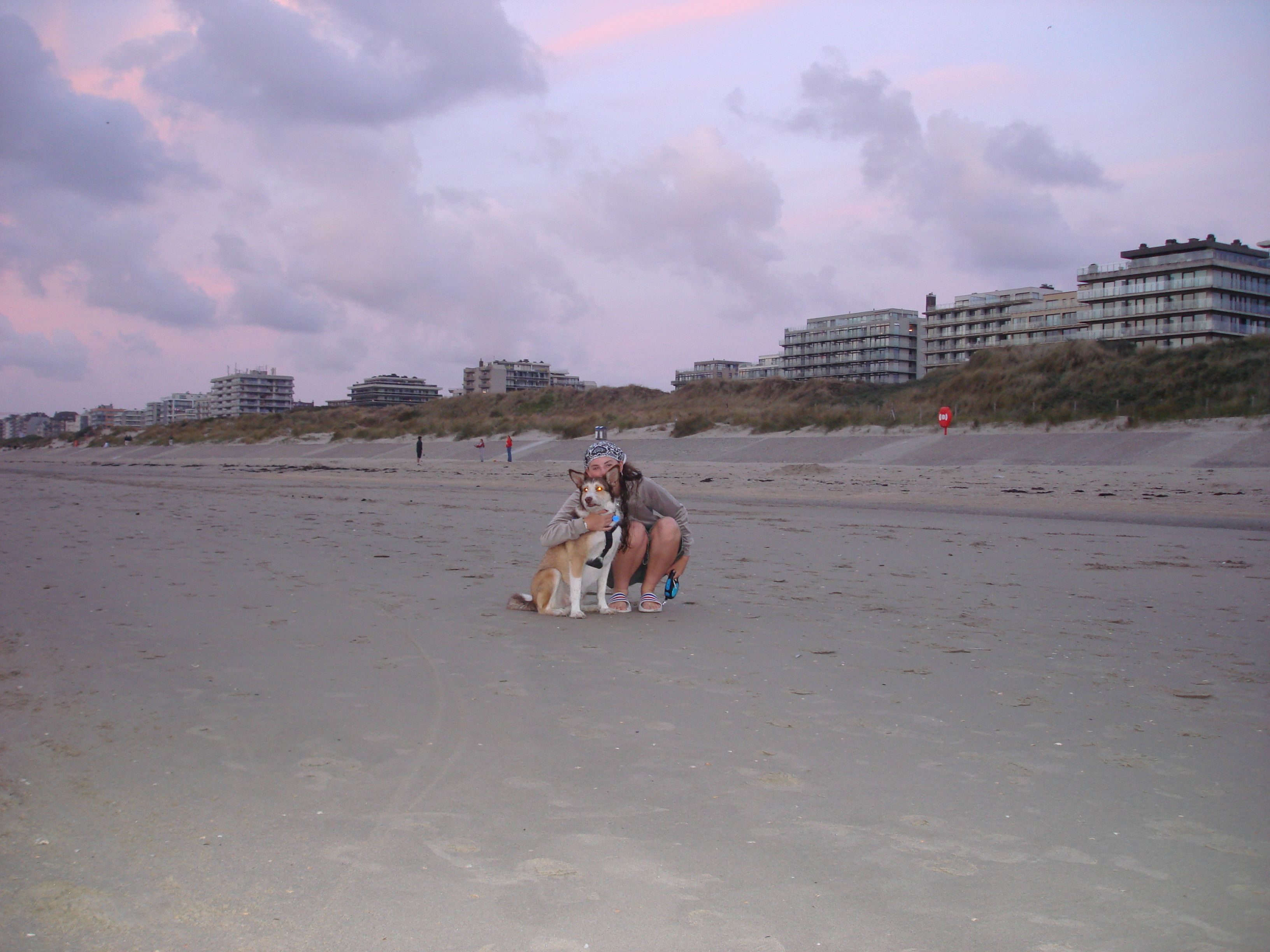 image-20