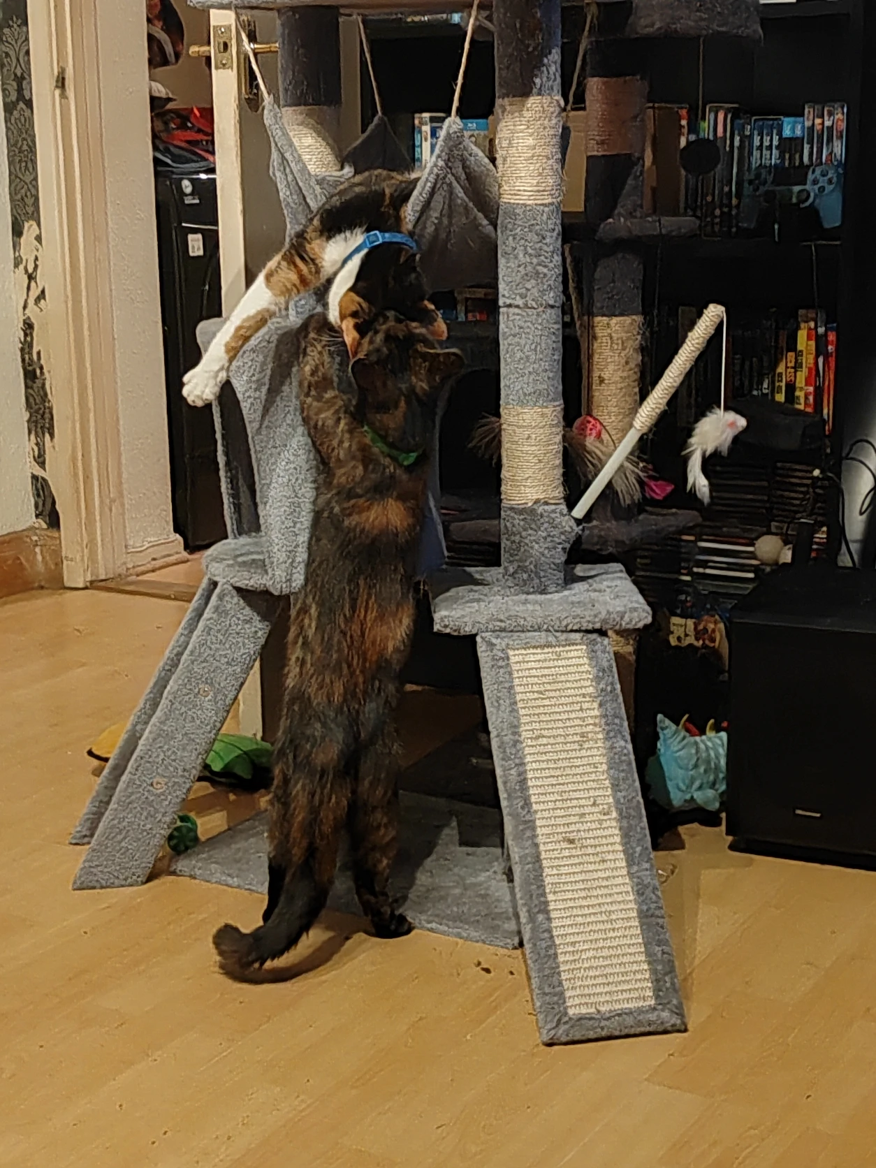 image-12