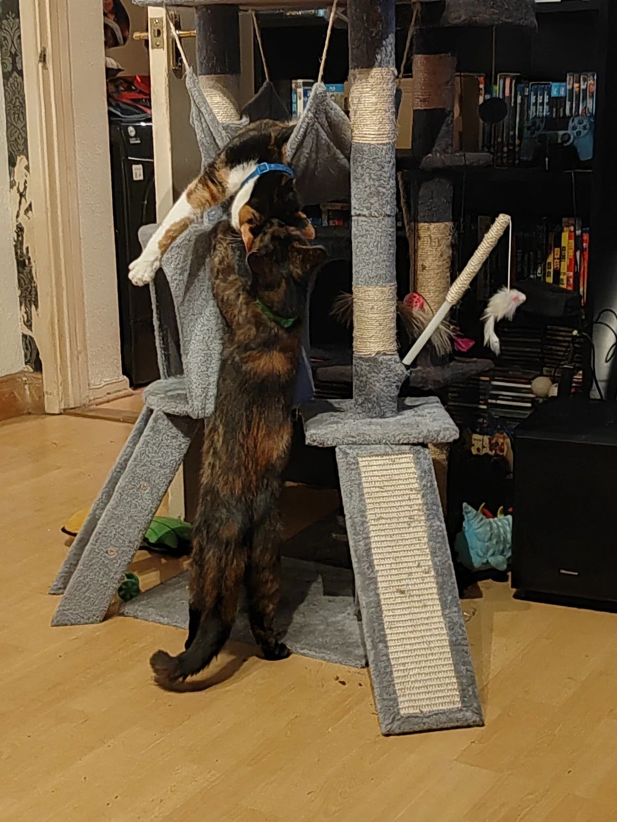 image-12