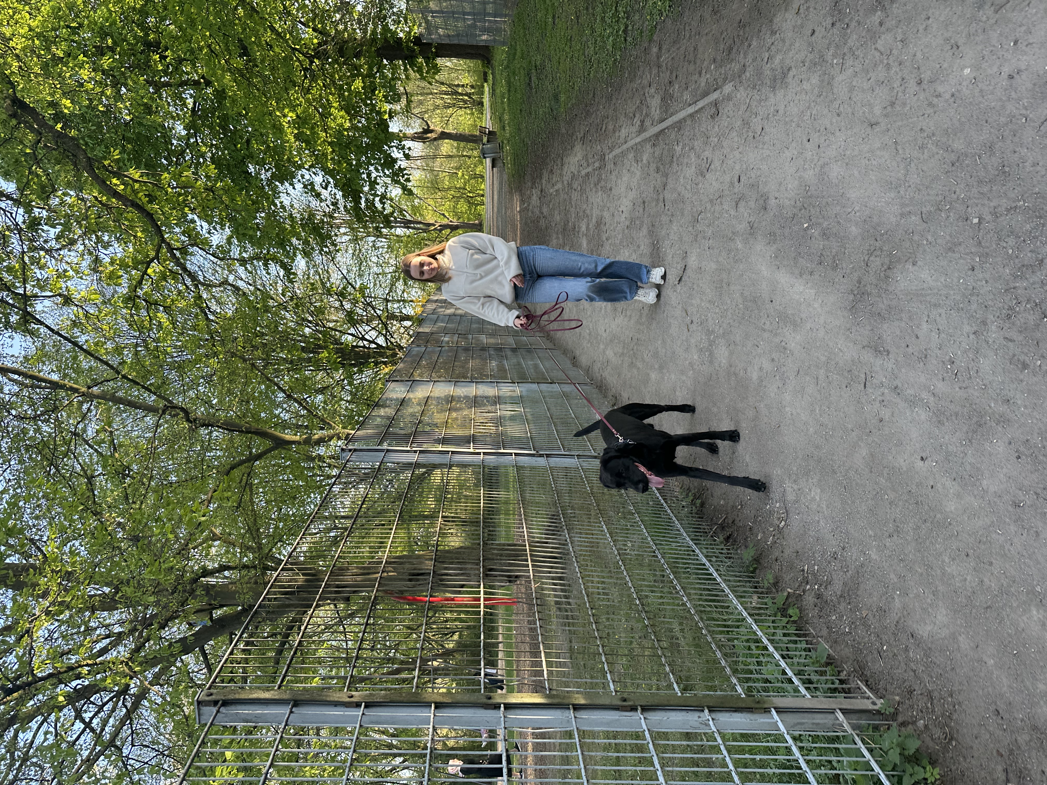 image-0